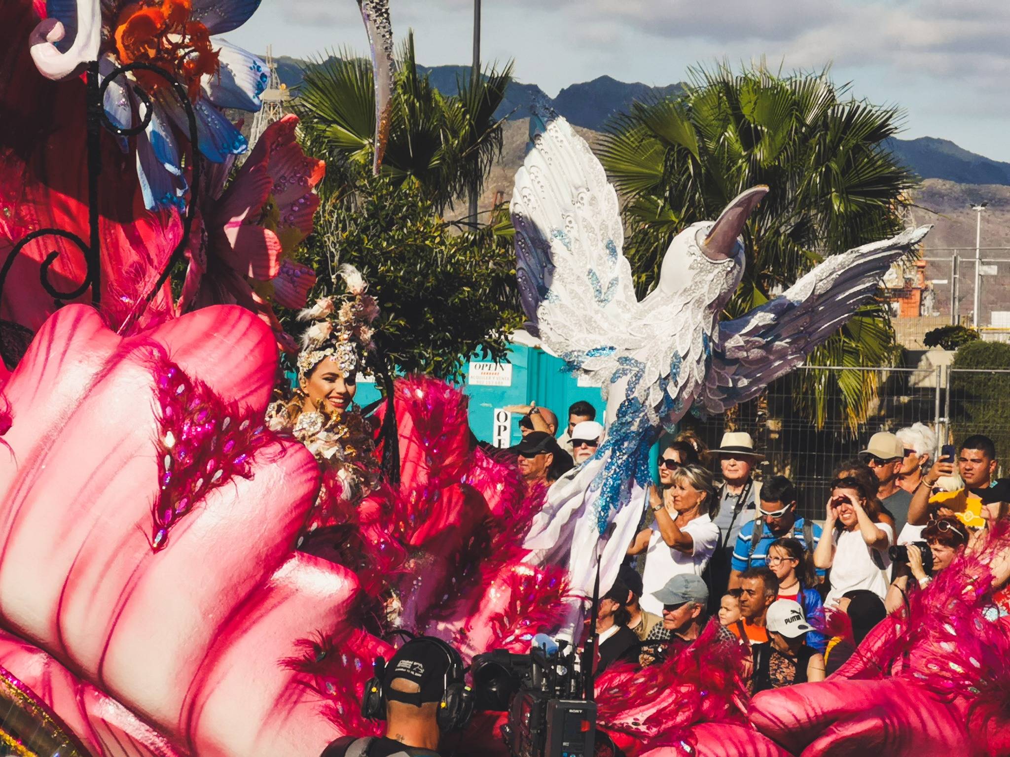 Carnival de Santa Cruz de Tenerife 2019