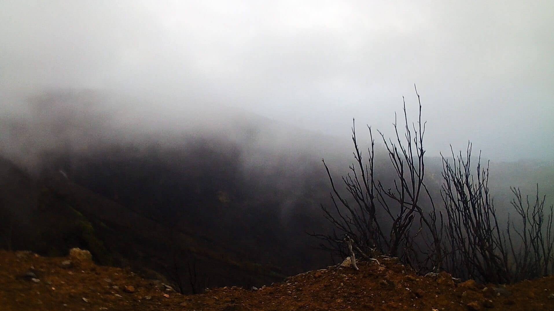 Fog in Madeira