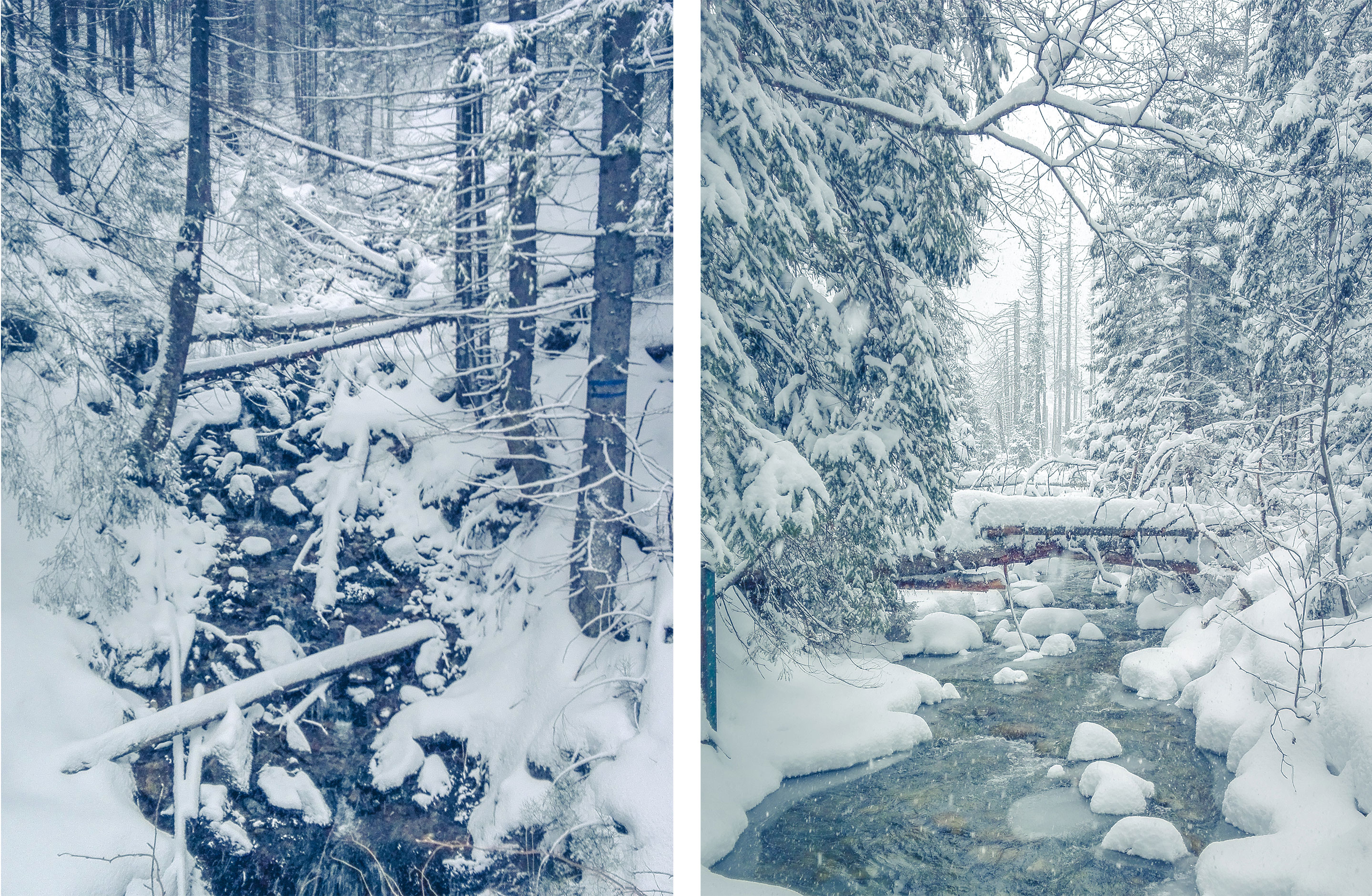 Two mountain streams in Tatra Mountains Waksmundzki Potok and Bialka.