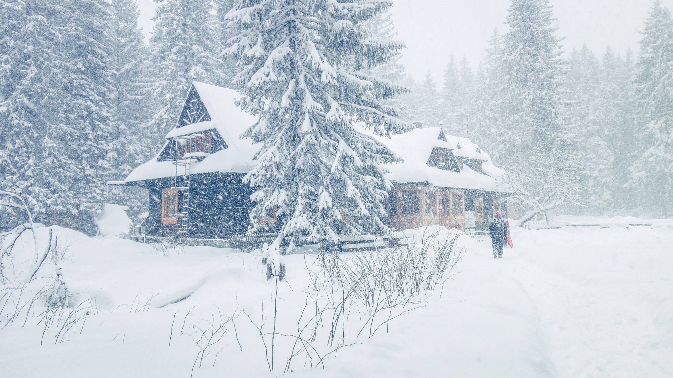 Schronisko PTTK w Dolinie Rozotki in winter