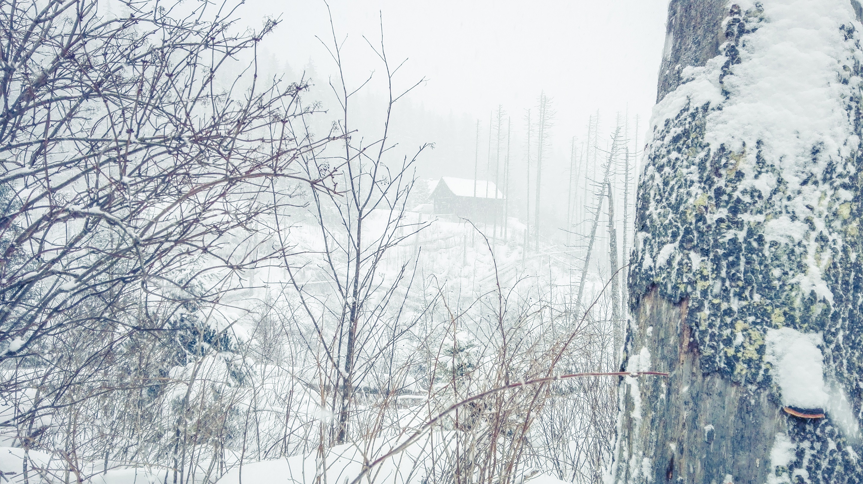 Shelter in Winter Tatra Mountains, Poland