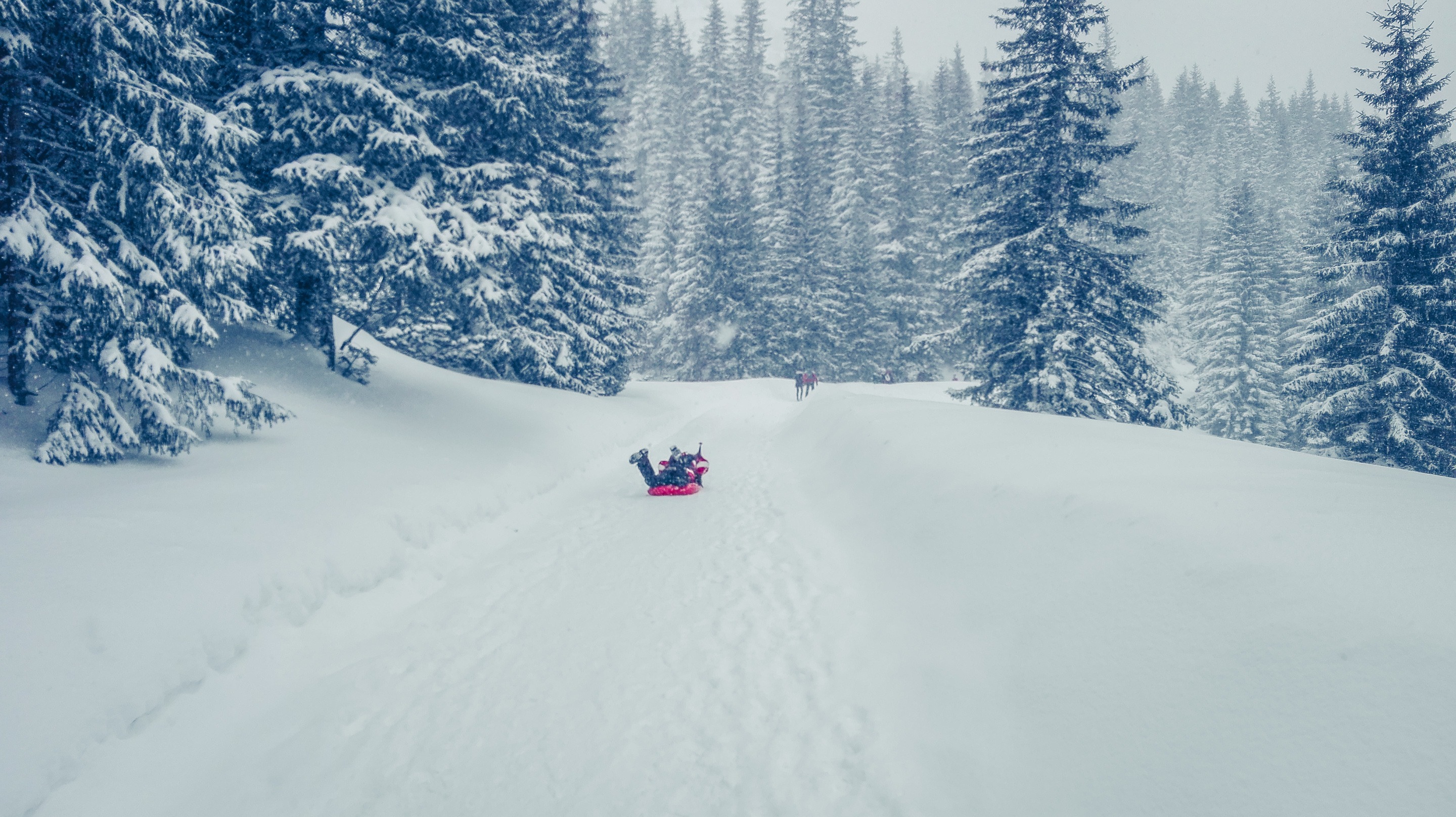 Sleding down from Morskie Oko, Poland.