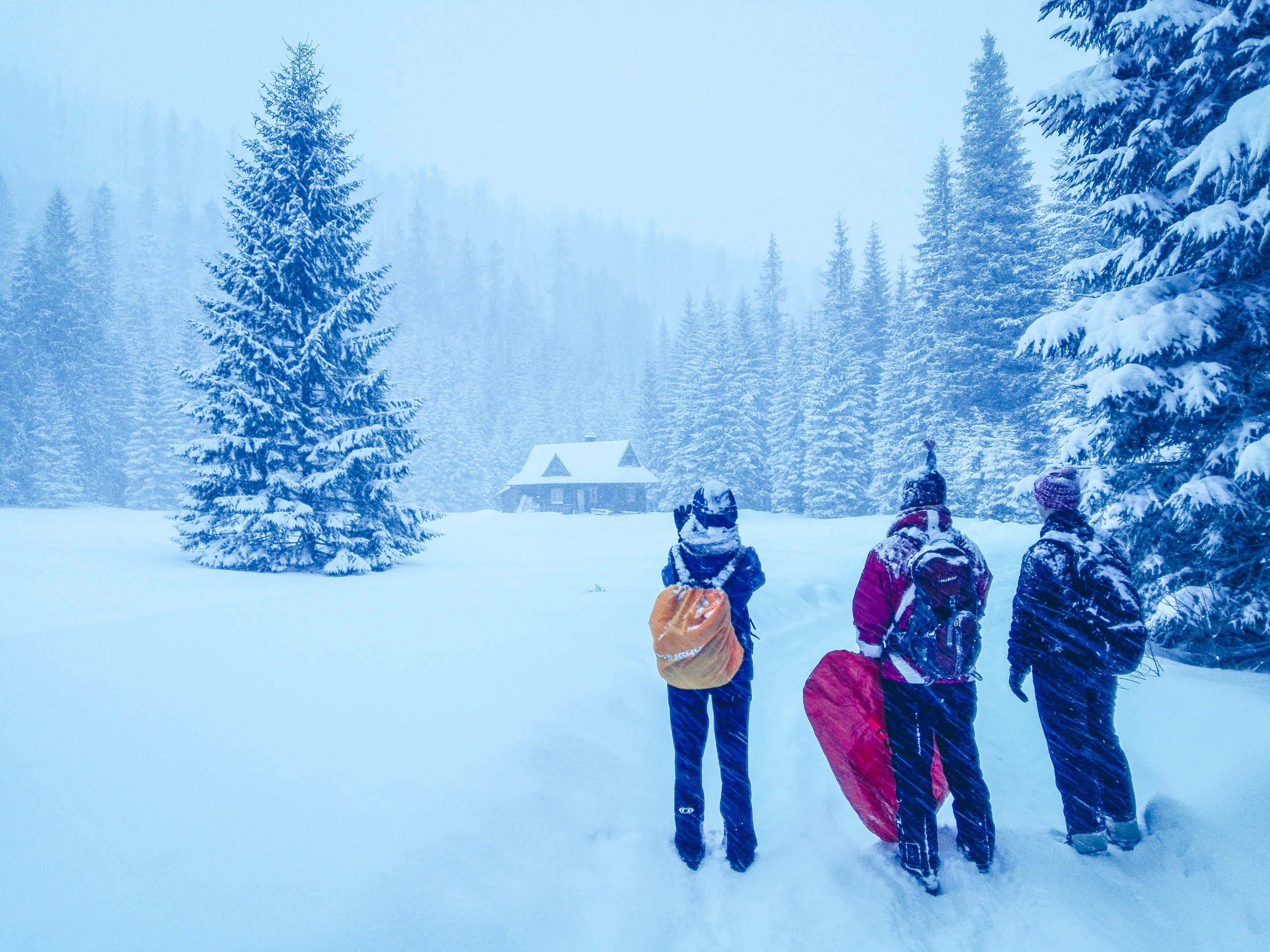   Looks like we are prepared for hiking in blizzard, are we? Photo by Alis Monte [CC BY-SA 4.0], via Connecting the Dots