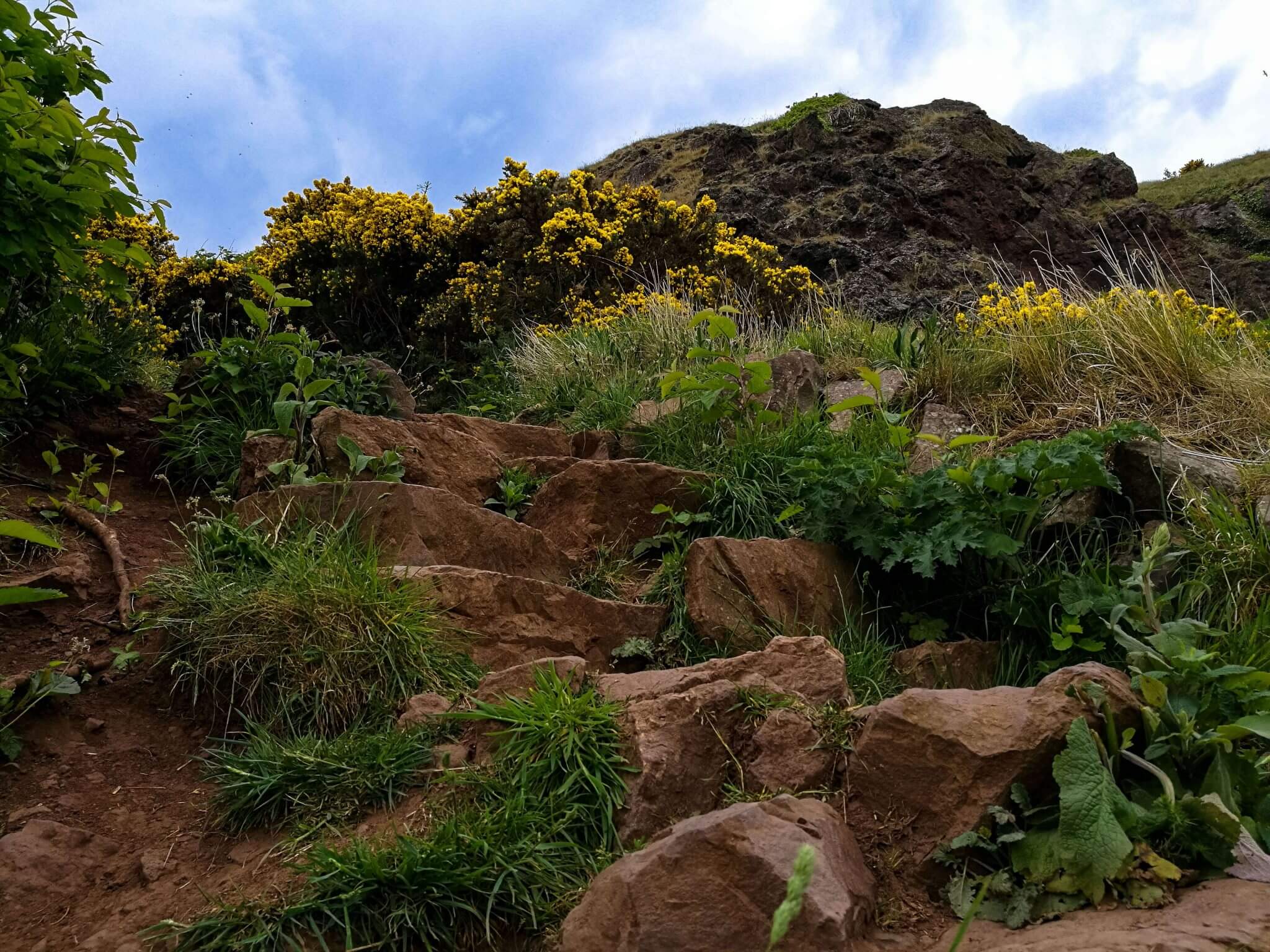 Steps on the road to Arhur's Peak