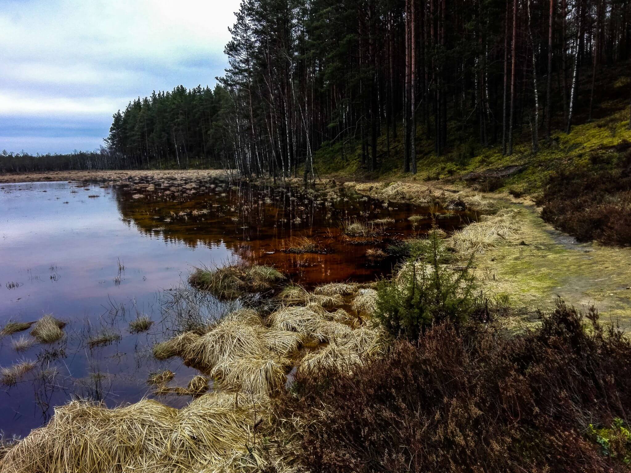 cepkeliai marsh shore spring lithuania