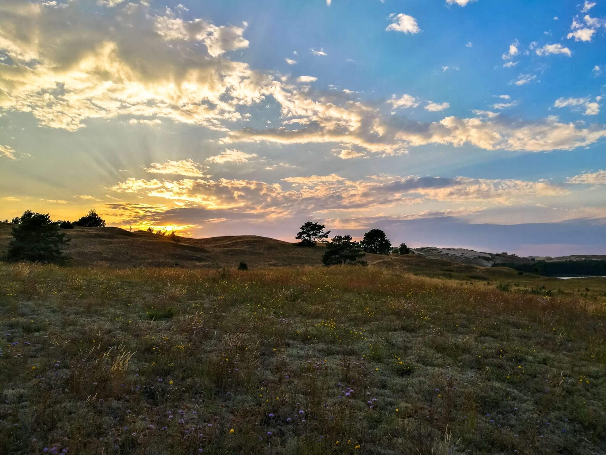curonian spit dead dunes sunset lithuania