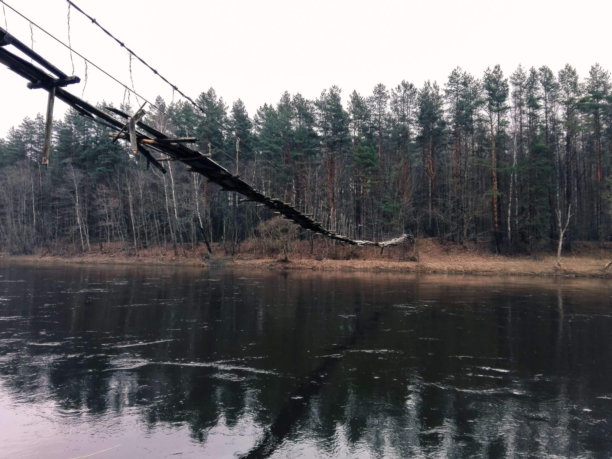 monkey bridge raudondvaris lithuania