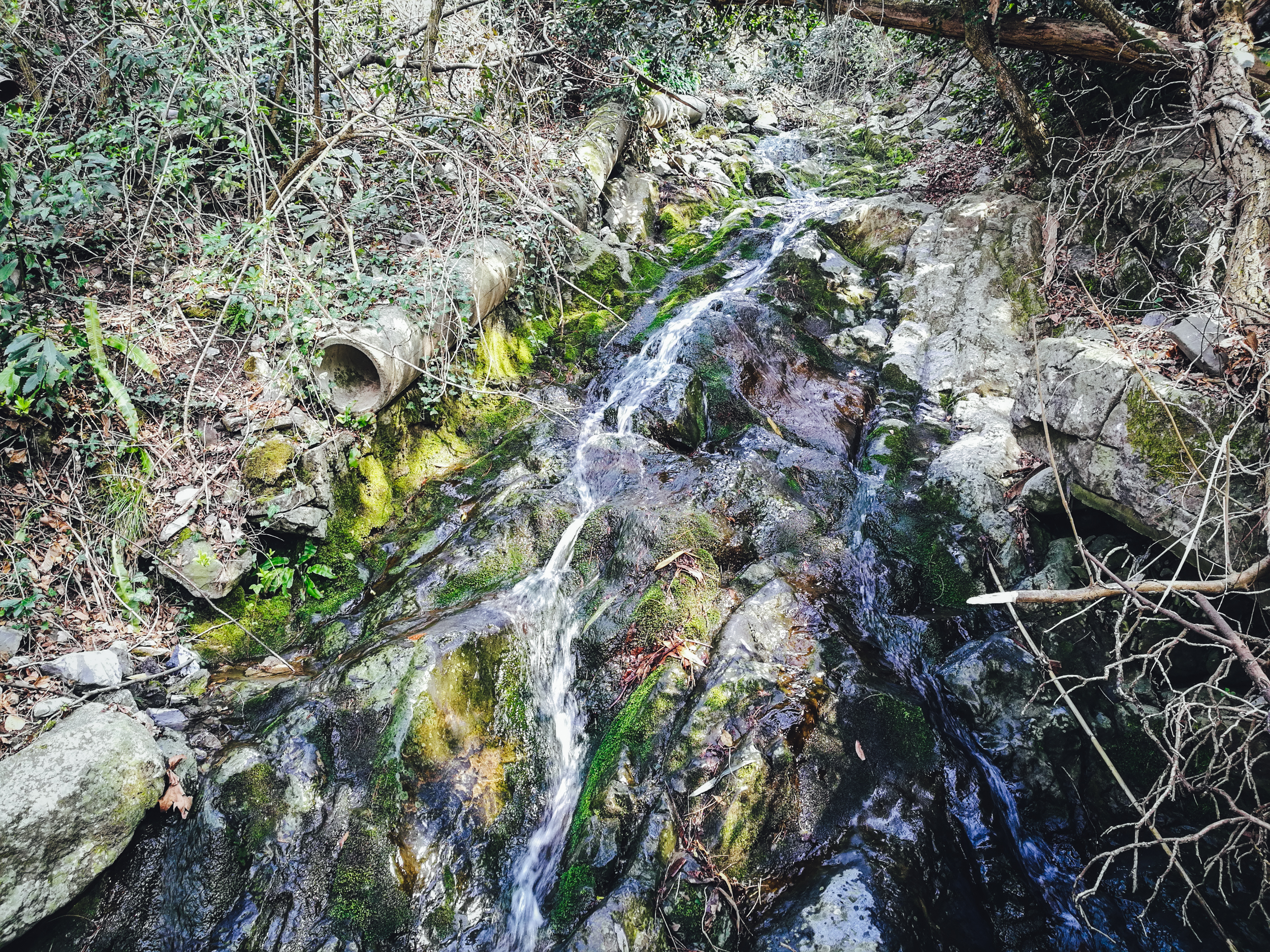 Stream in Wayfarer Trail near Lake Como