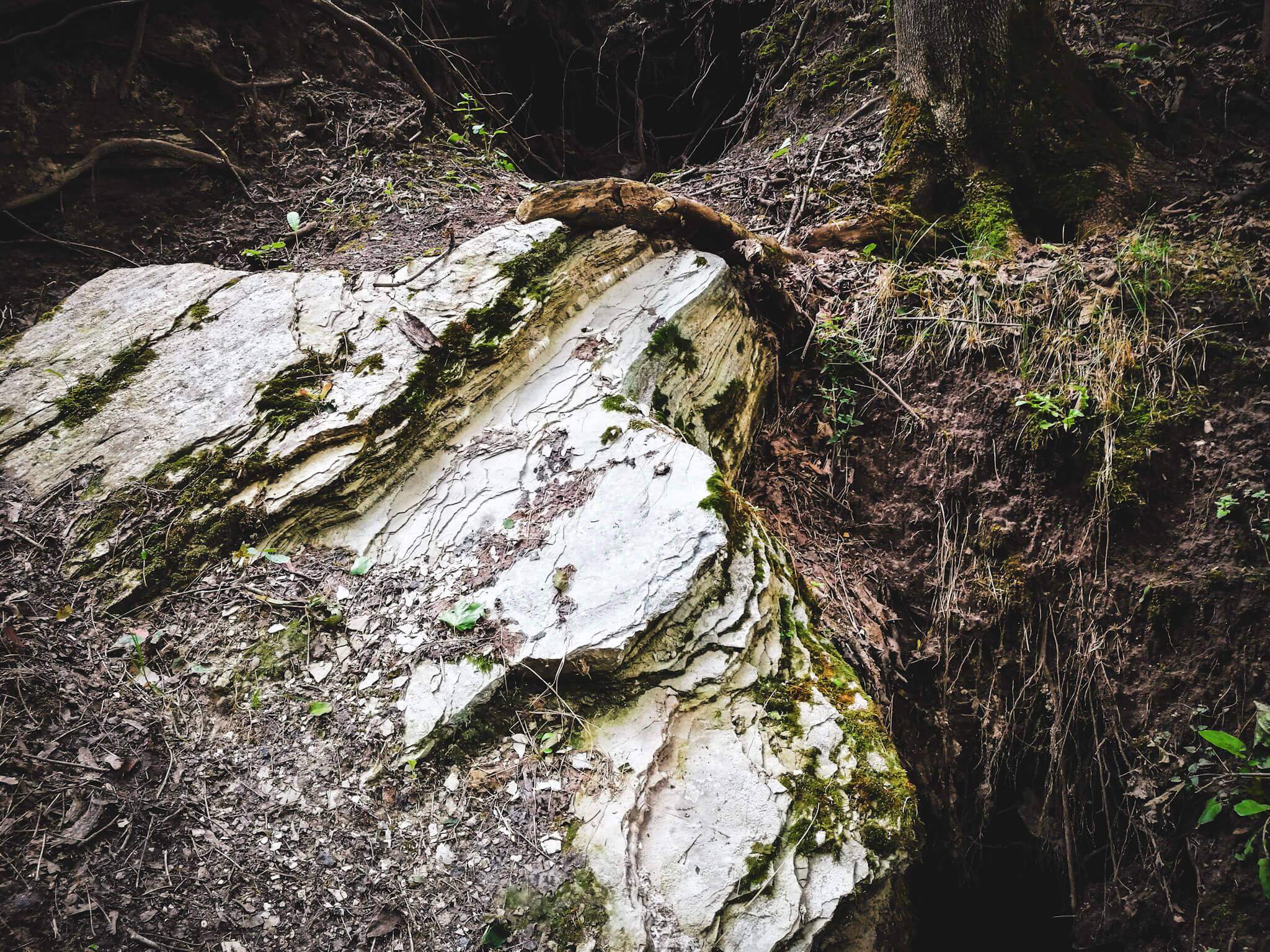 badger cave
