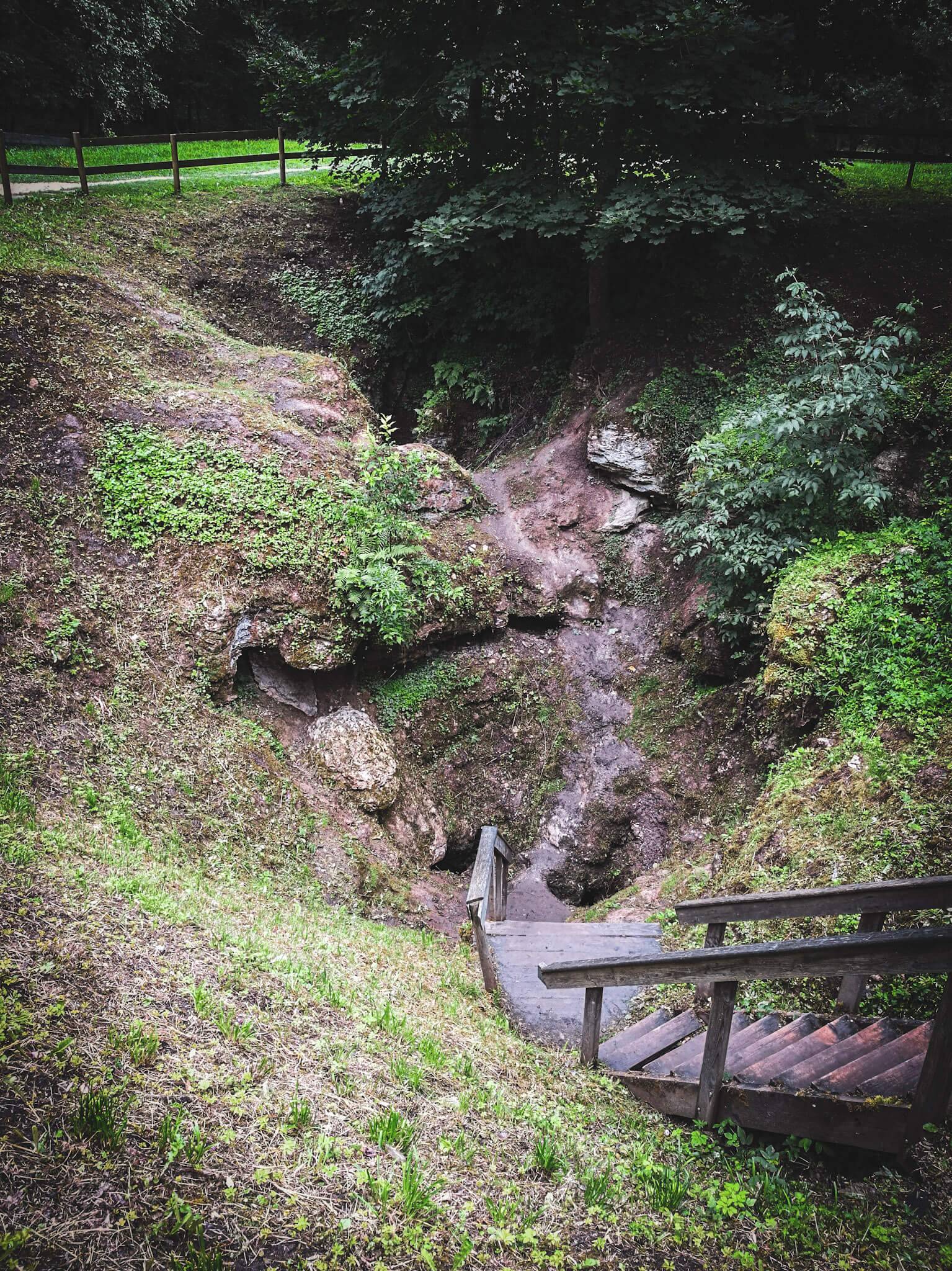 cow cave