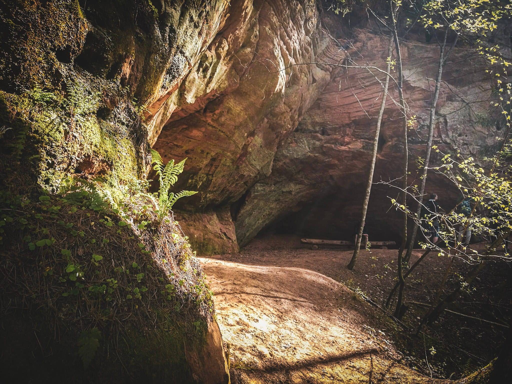 Langu Cliffs in Gauja National Park, Latvia