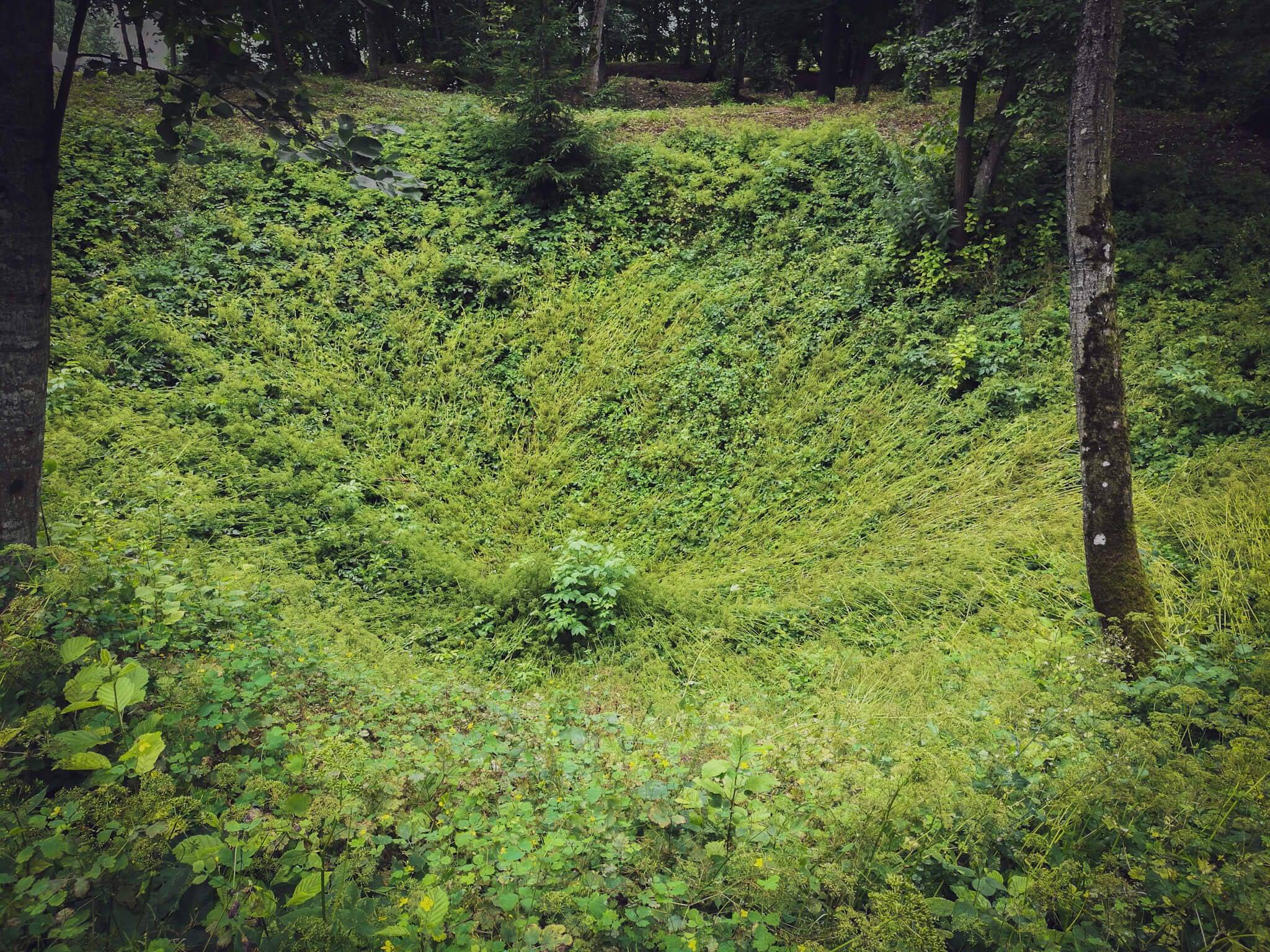 Sinkhole near Cow cave