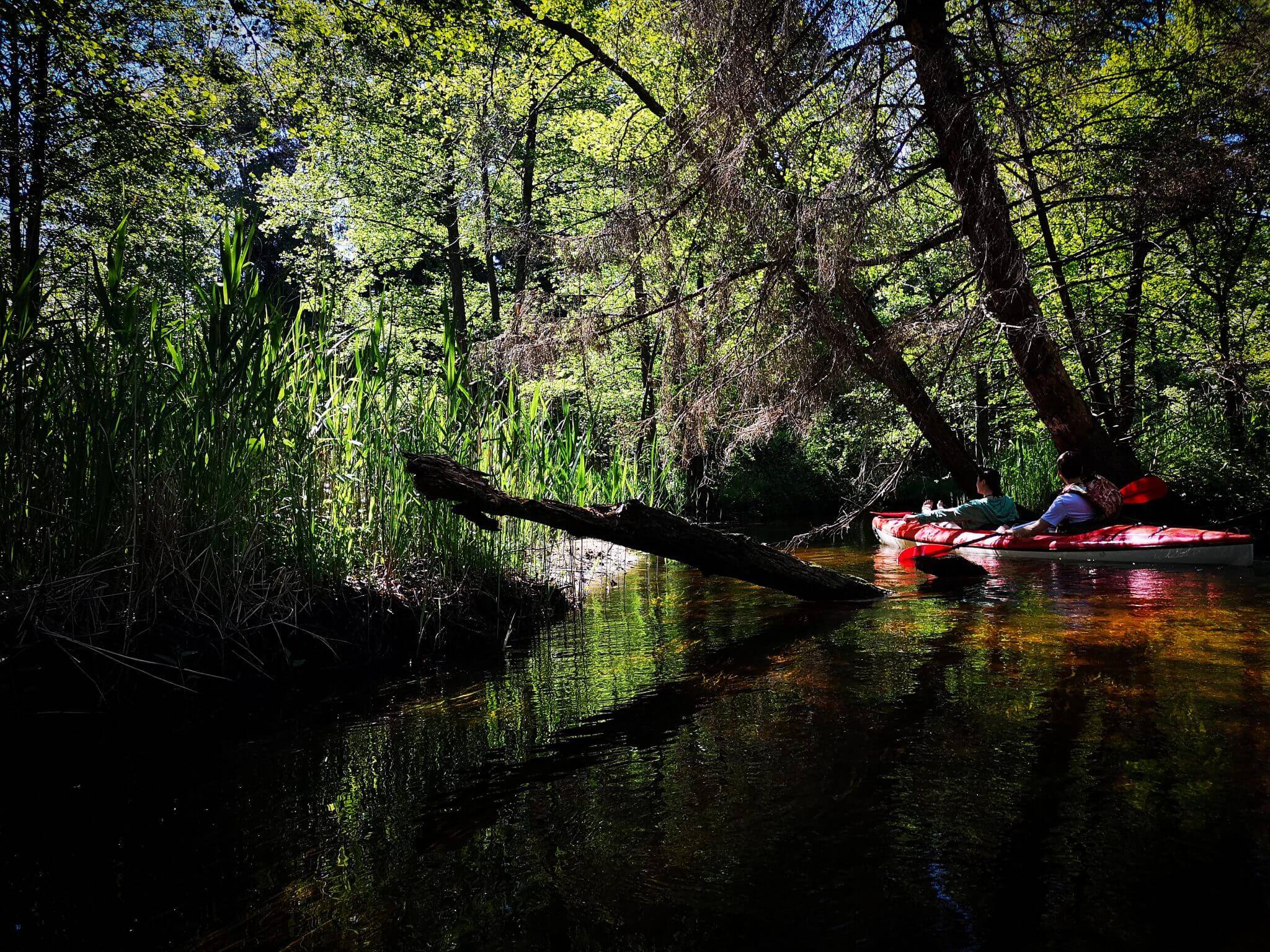 a kayak in river buka