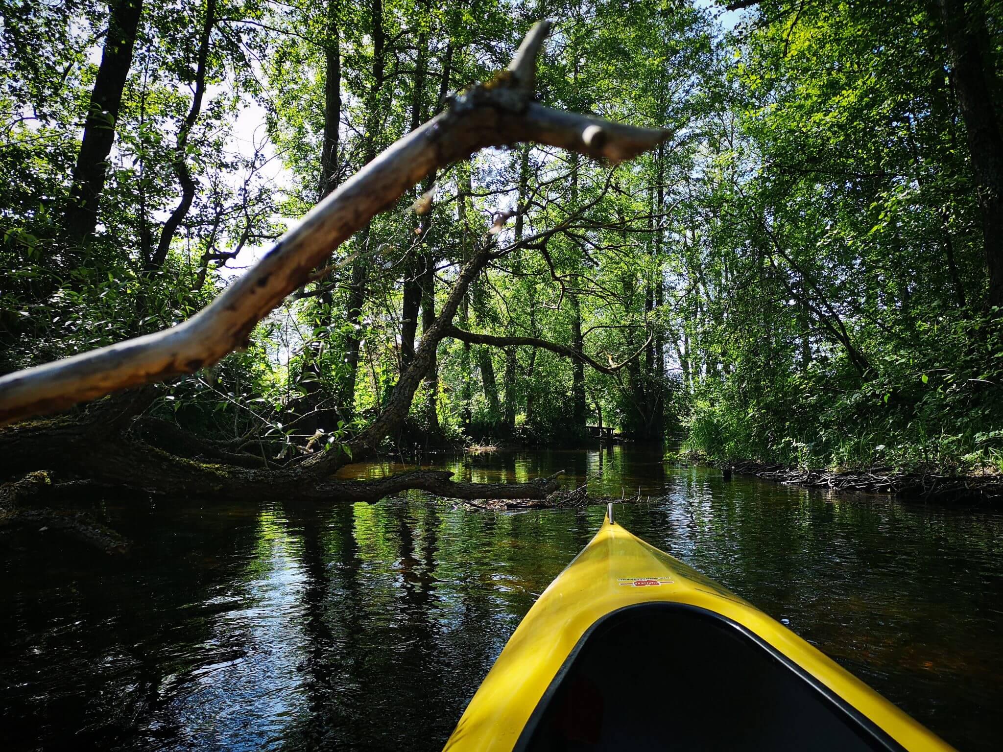 kayaking stream between lake asekas and linkmenas