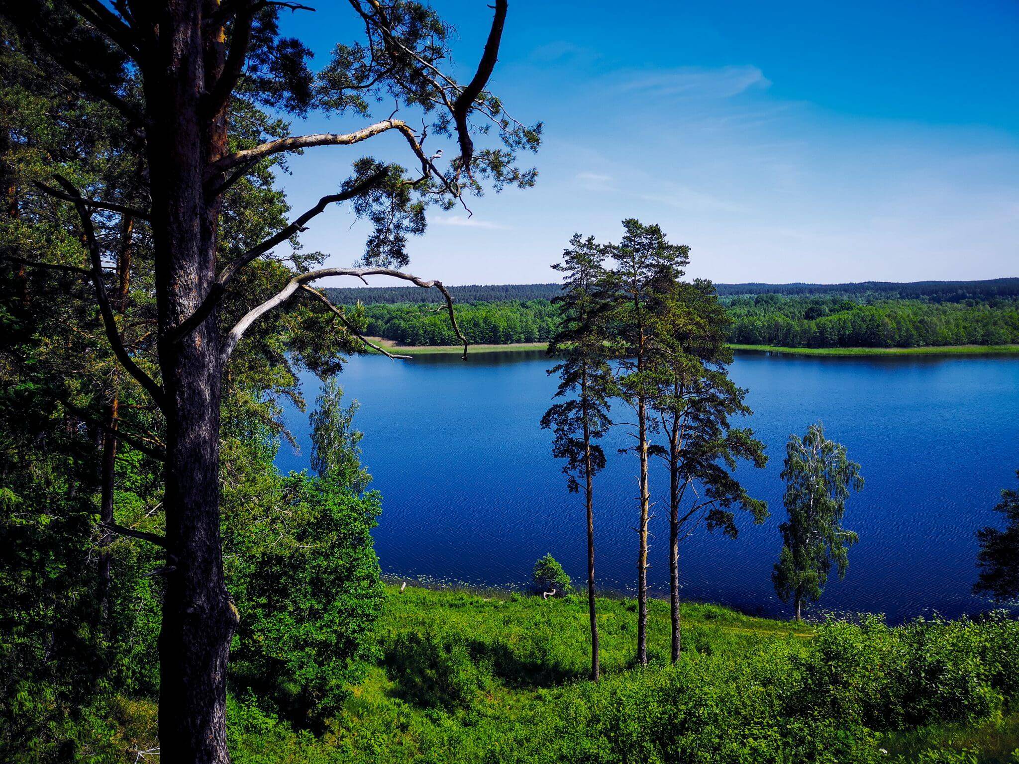 lake linkmenas from ladakalnis