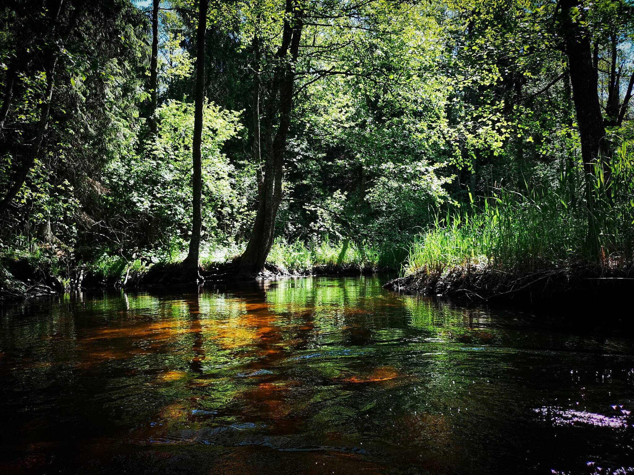 river buka