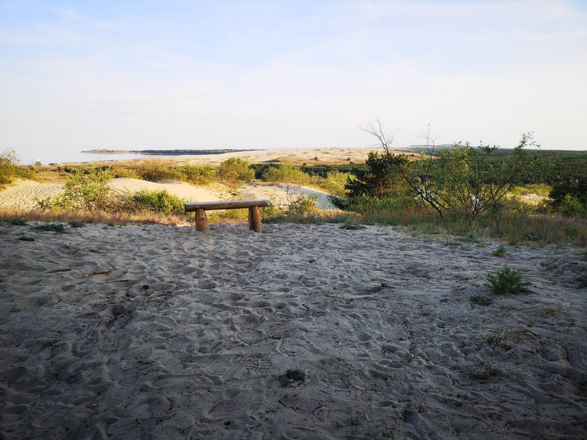 bench parnidis dune summer