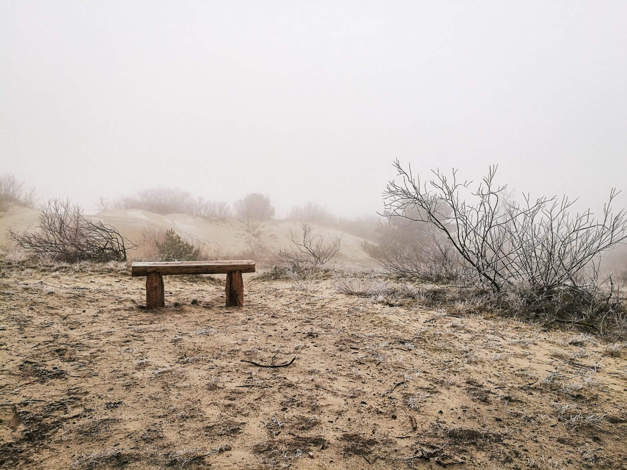 bench parnidis dune winter