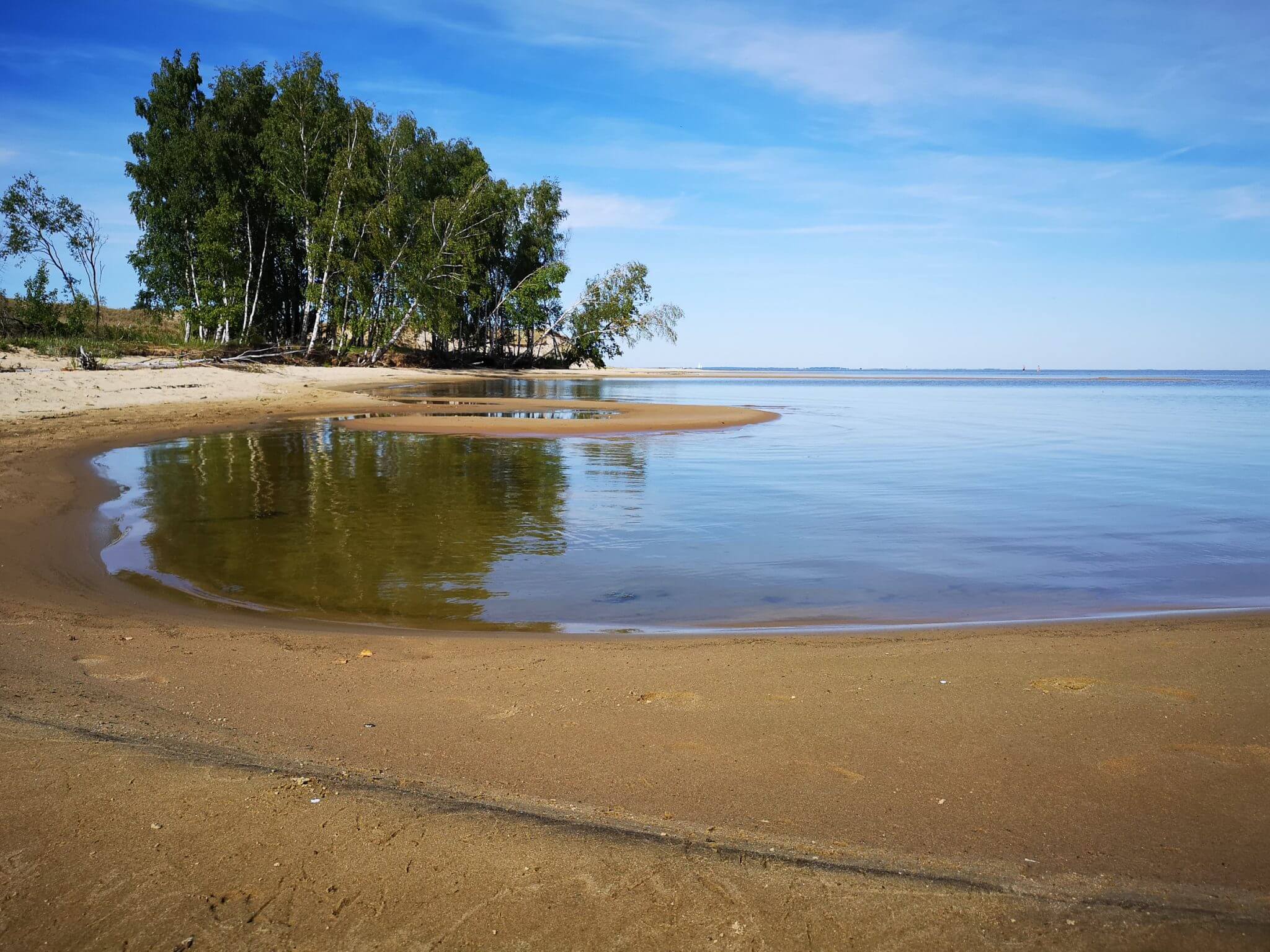 birch beach nida