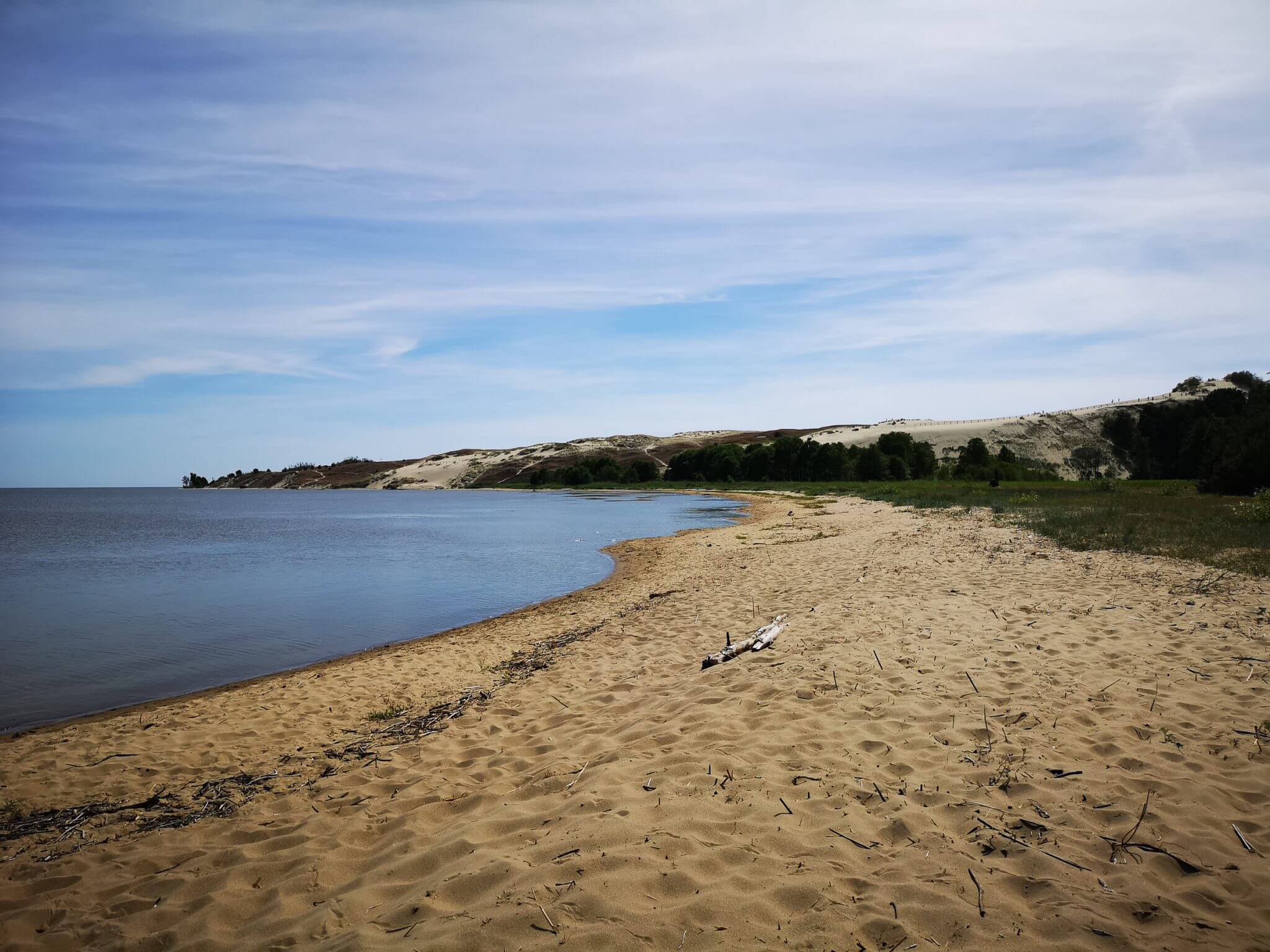 curonian lagoon during summer