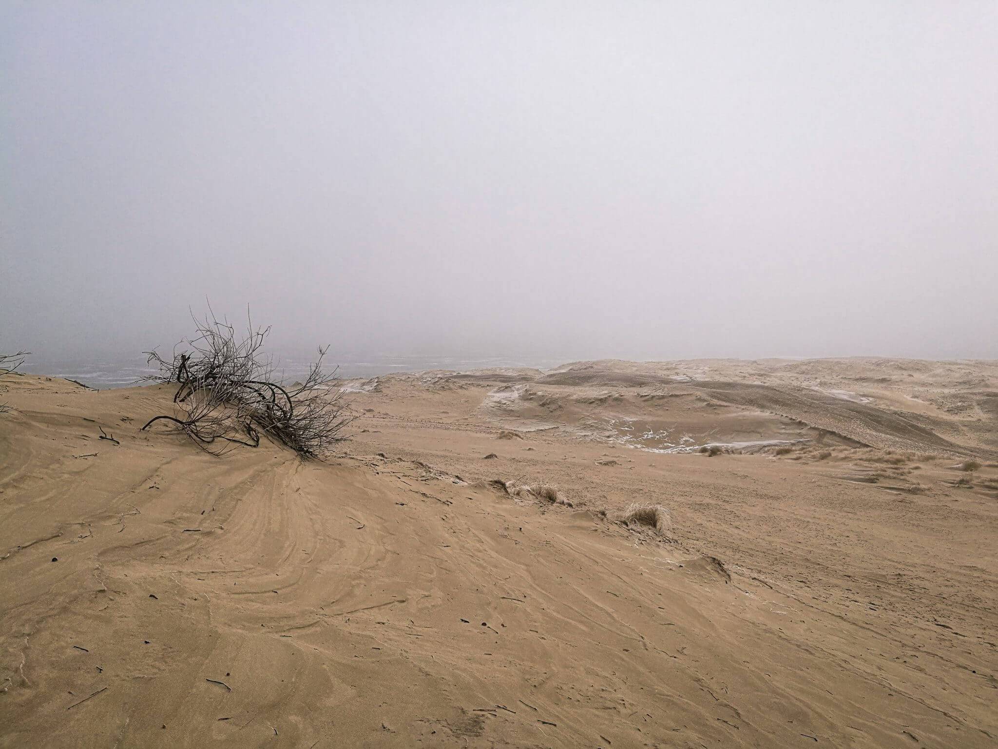 golden dunes nida winter