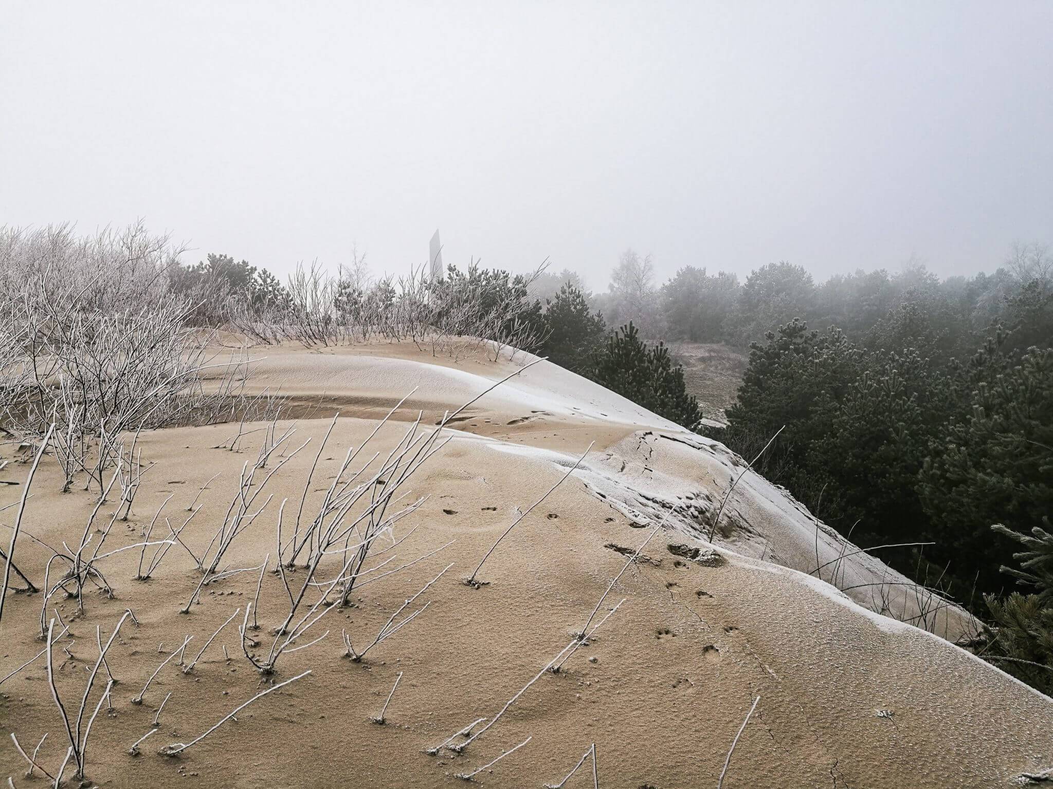 pardnidis dune winter