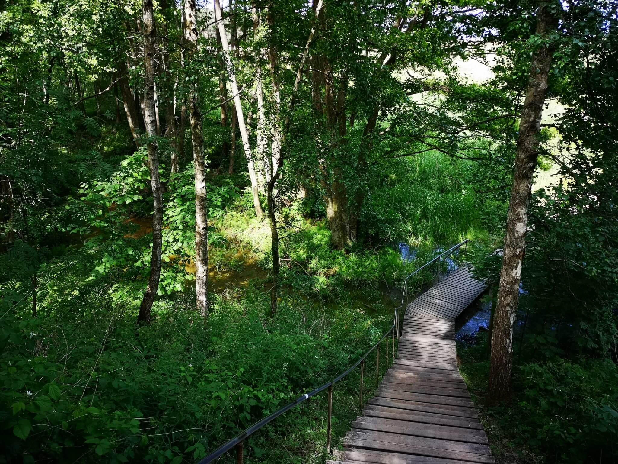 parnidis dune stairs summer