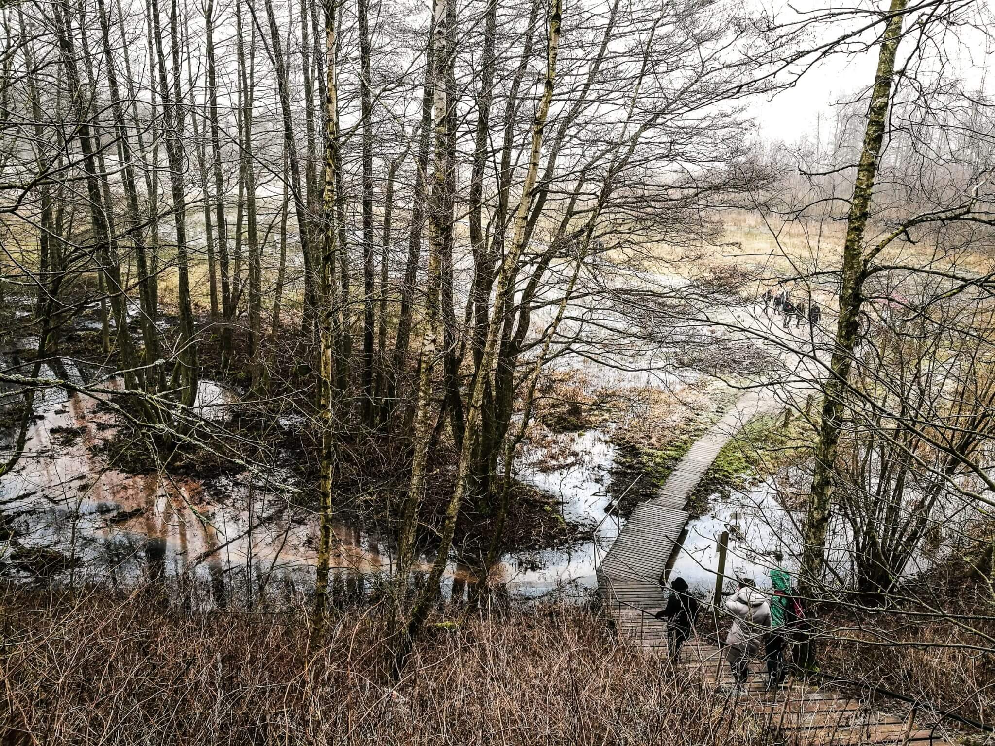 parnidis dune stairs winter