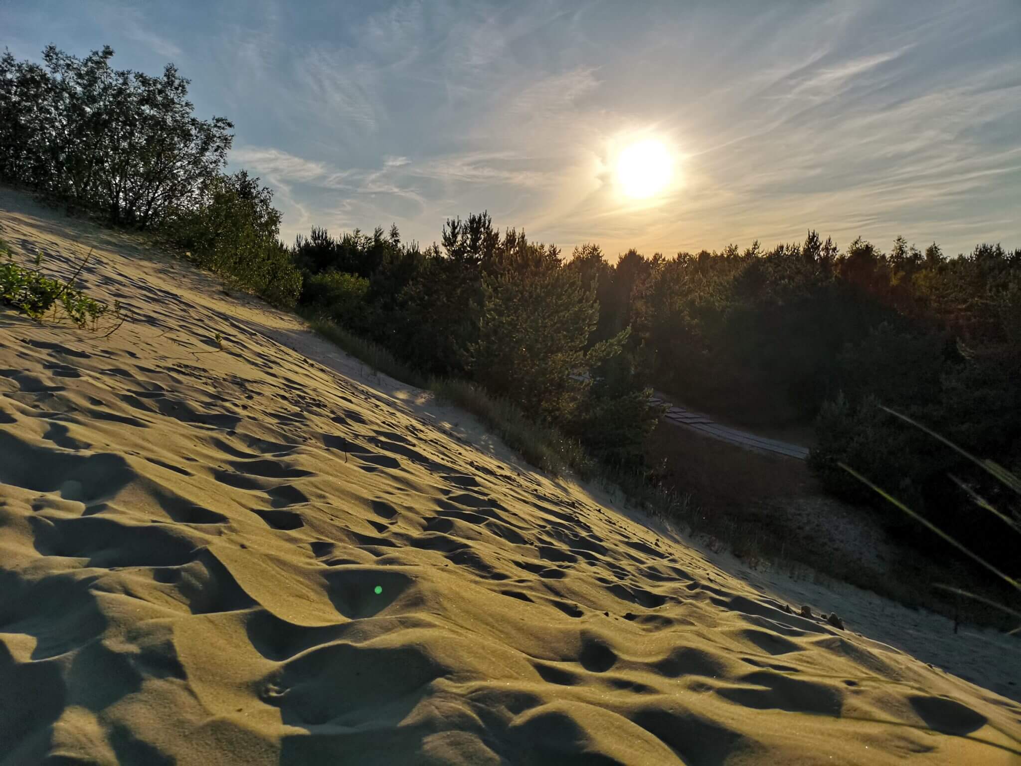 parnidis dune summer