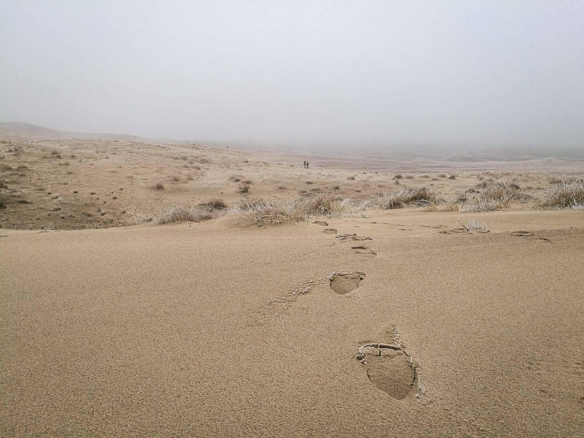 people in frozen dunes nida