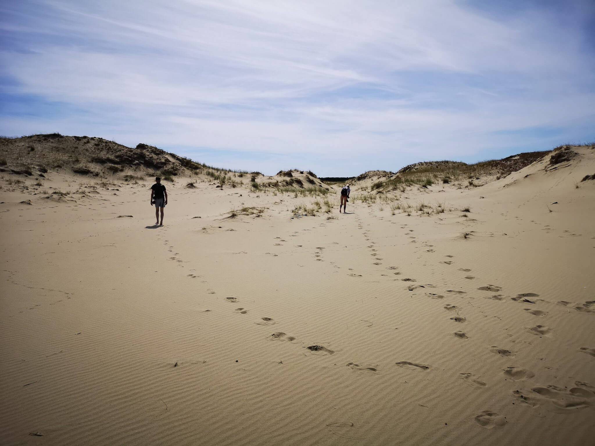 people parnidis dune summer