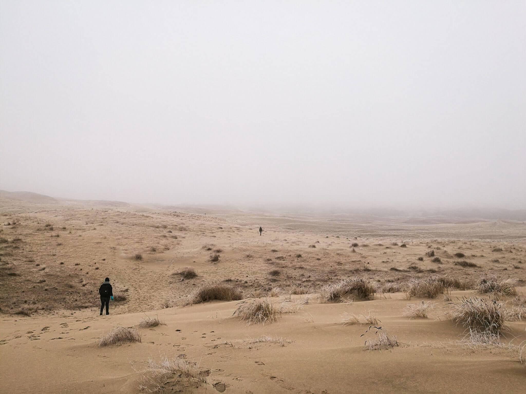 people parnidis dune winter