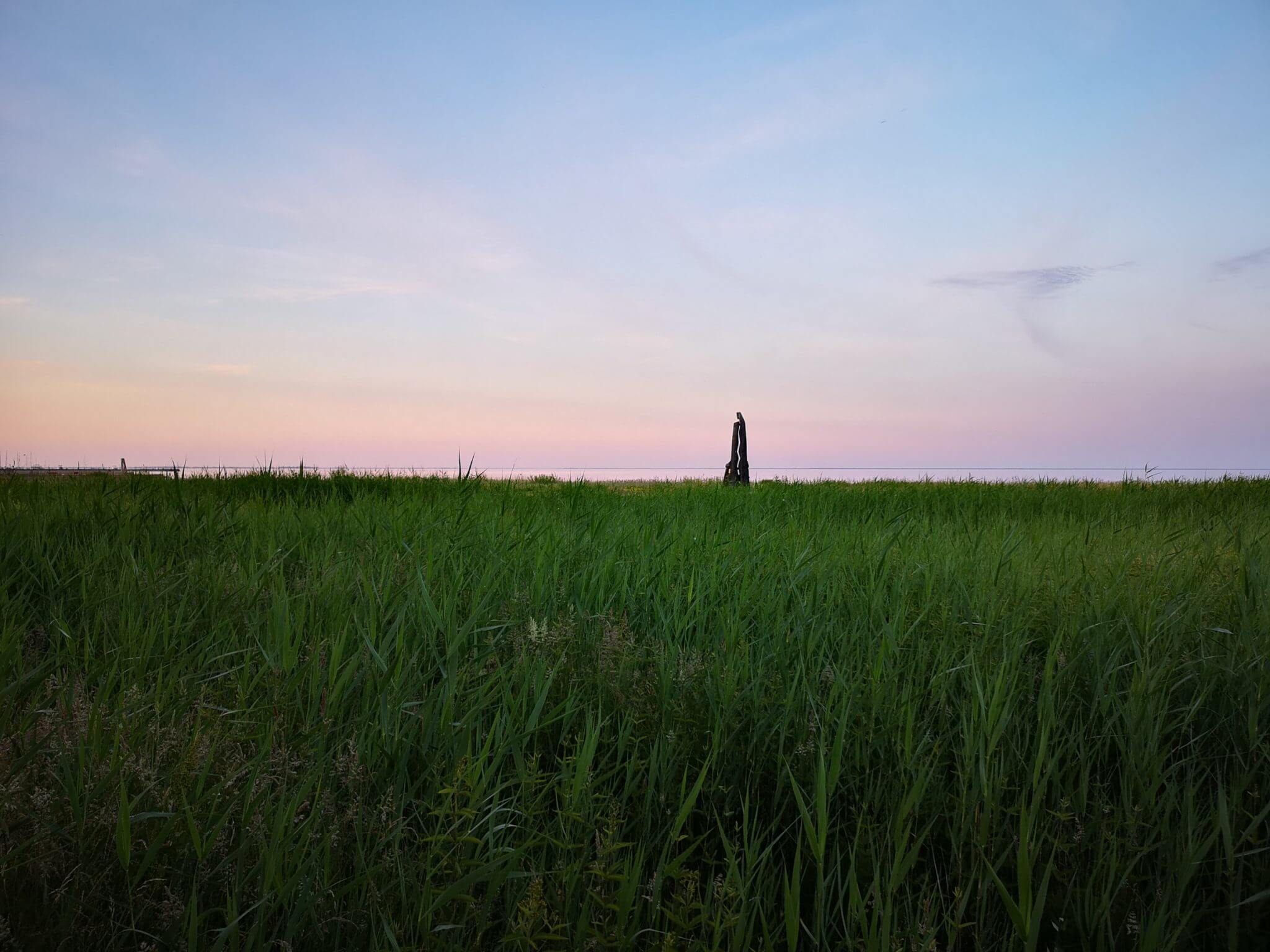 valley of silence nida summer