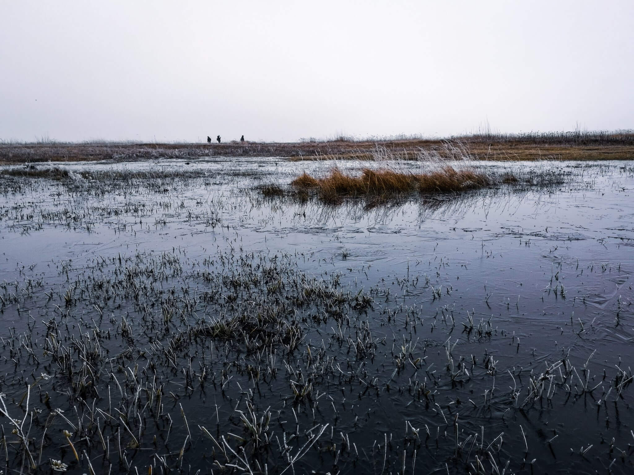 valley of silence nida winter