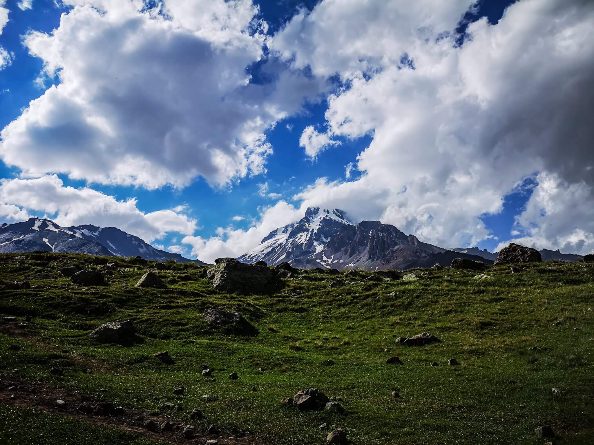 mount kazbek from a meadow