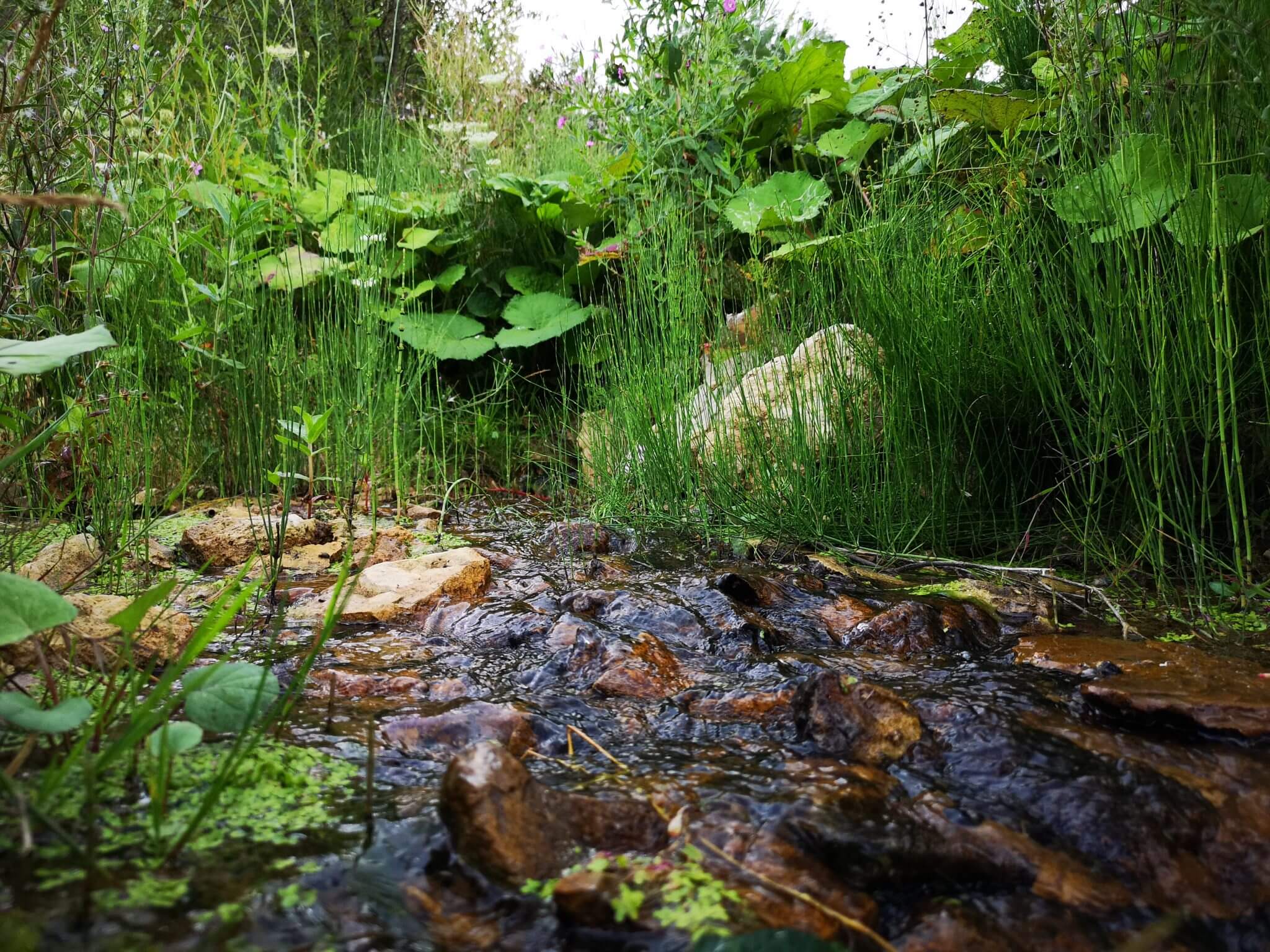 stream menciu limestone pit