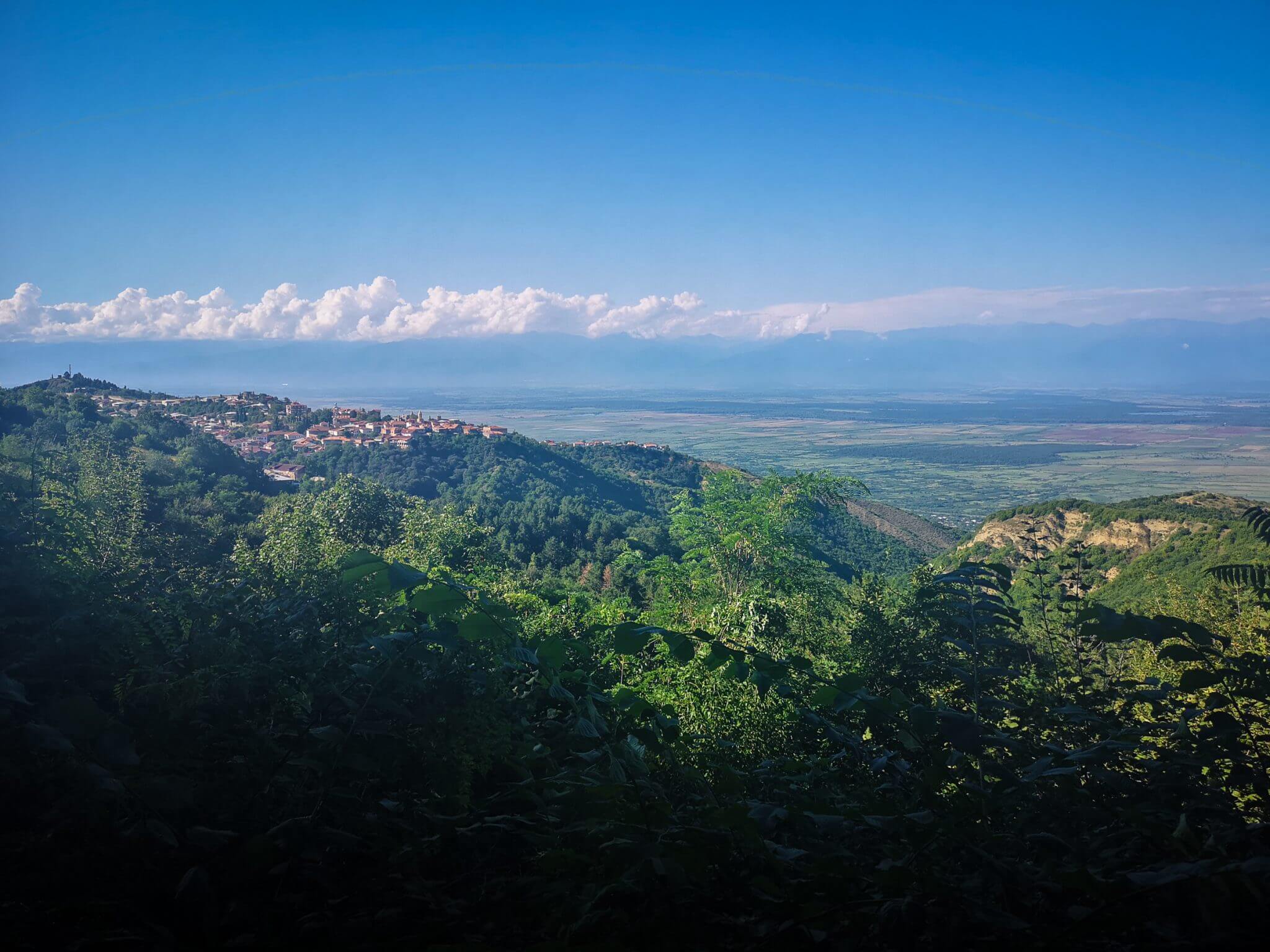 kakheti region sighnaghi panorama