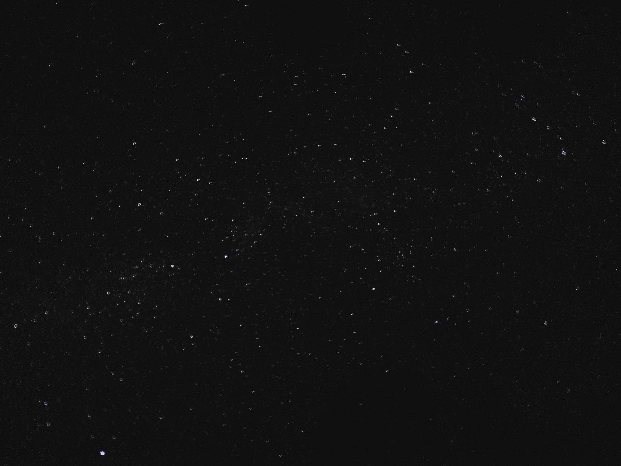 August night sky in Labanoras Regional Park, Lithuania