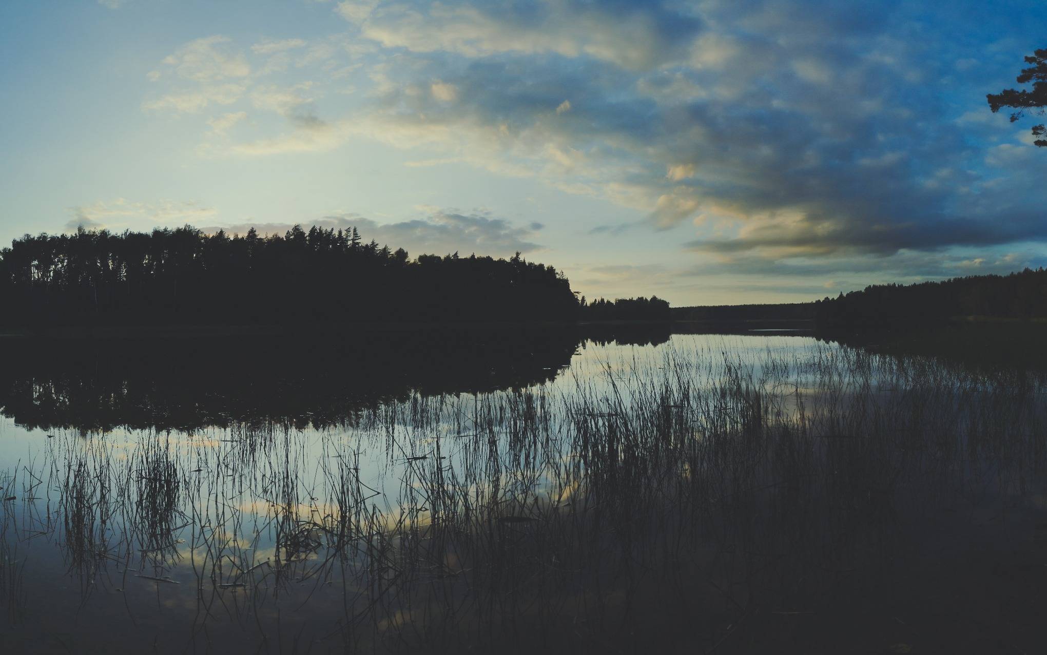 Black Lakajai Lake during an evening in Labanoras Regional Park, Lithuania