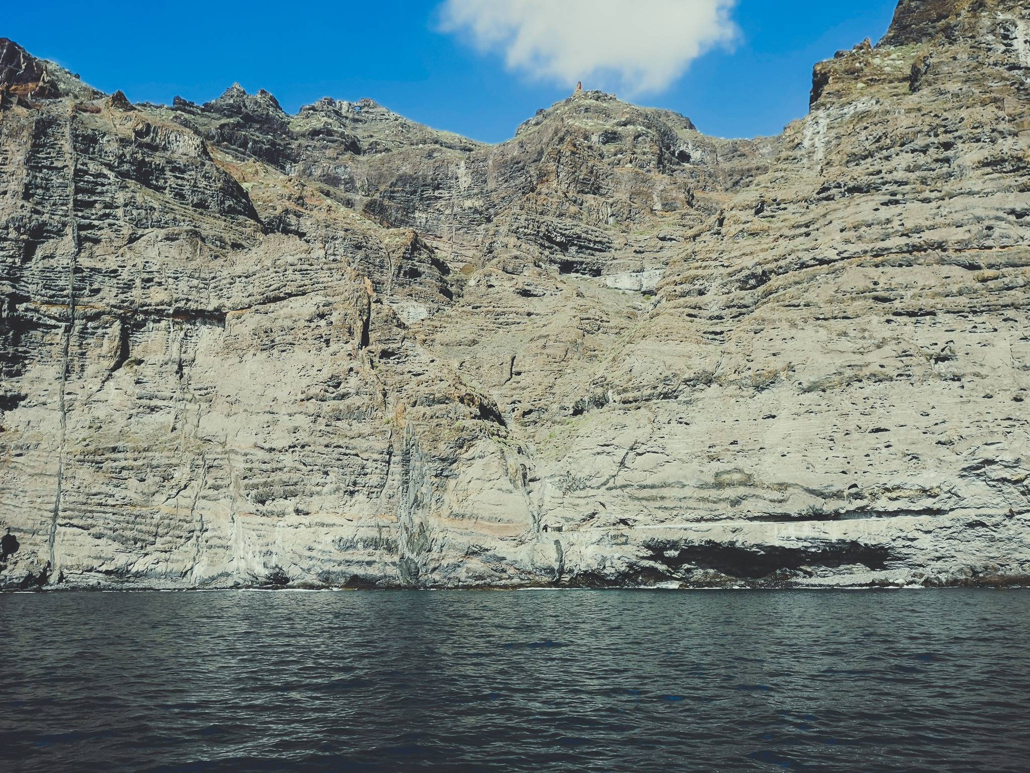   Most the dolphin watching tours will bring you close to Los gigantes for a swim. Don’t miss the chance! Photo by Alis Monte [CC BY-SA 4.0], via Connecting the Dots