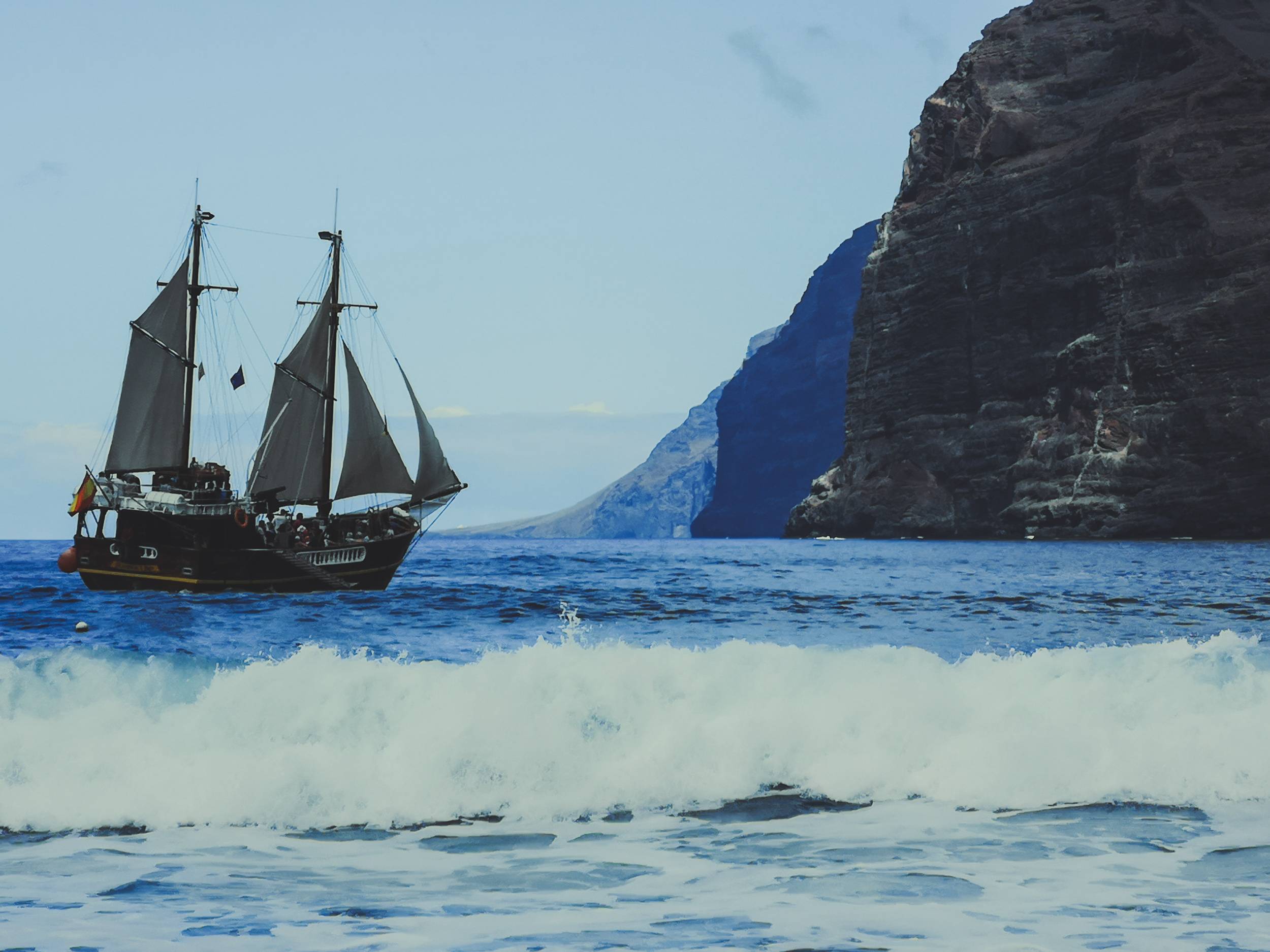   There are more than enough of different options to choose from for your dolphin watching tour. Photo by Alis Monte [CC BY-SA 4.0], via Connecting the Dots
