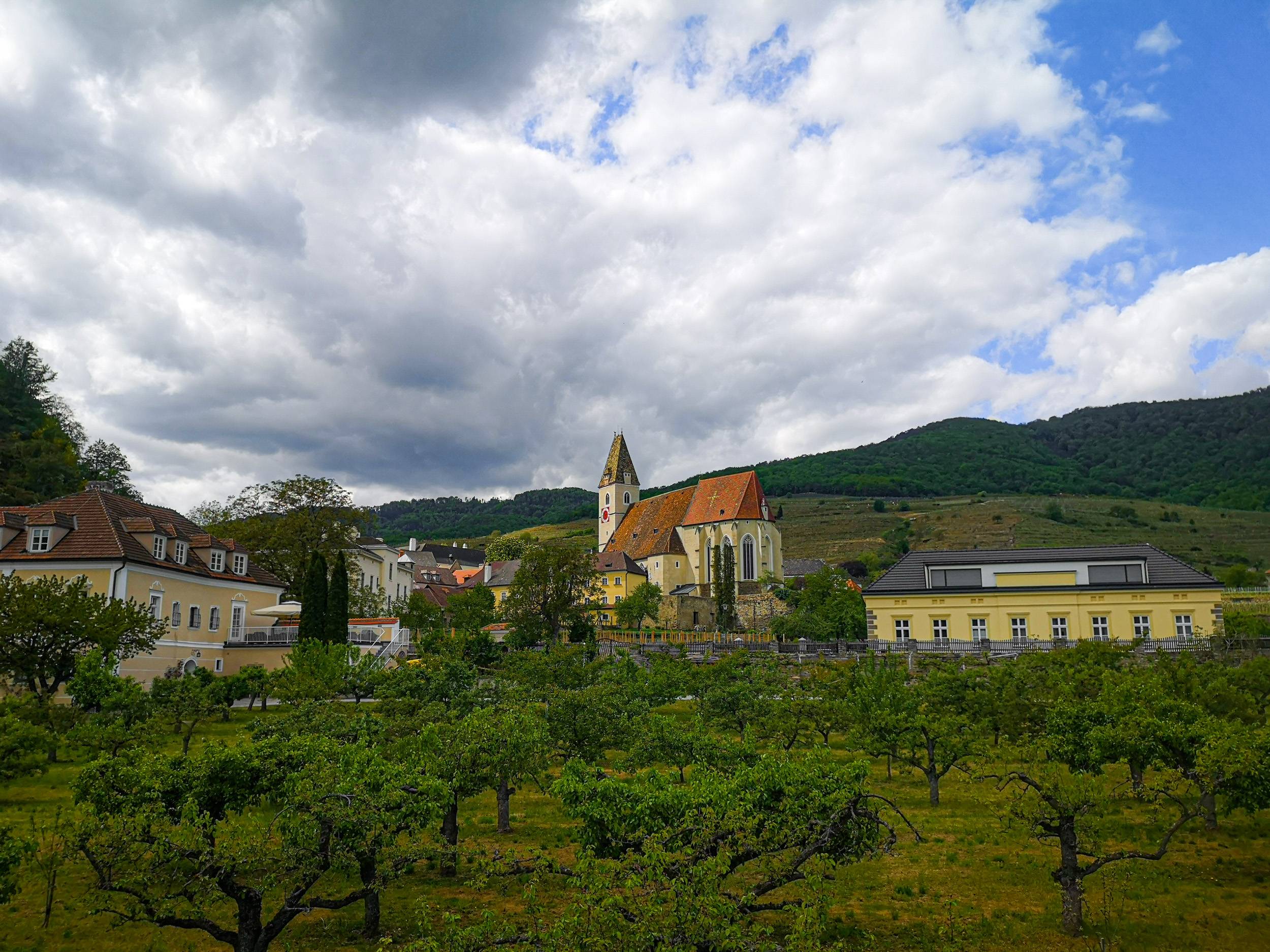 The vineyards of Spitz and its church in Wachau, Austria