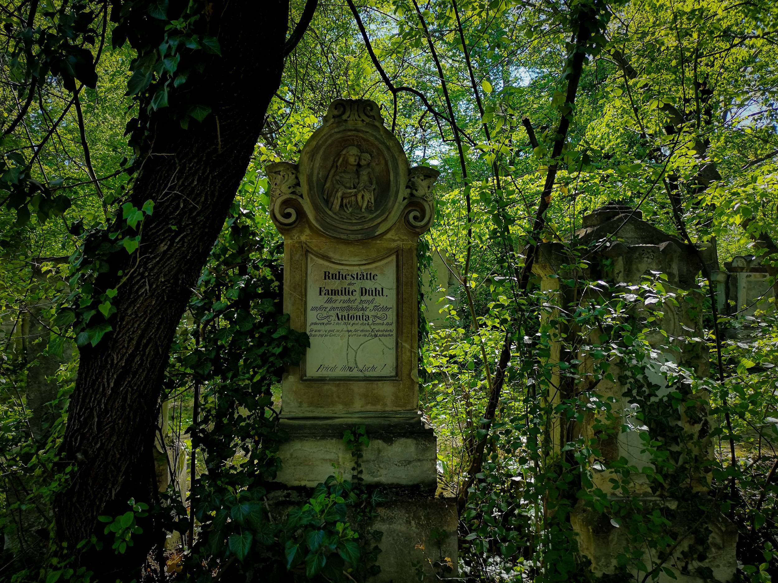 Grave in St Marx Cemetery, Vienna