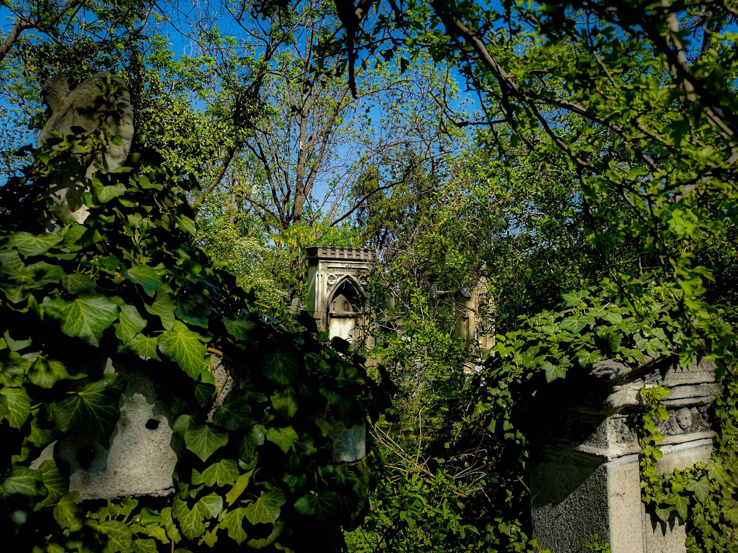 Overgrown graves in St Marx Cemetery, Vienna