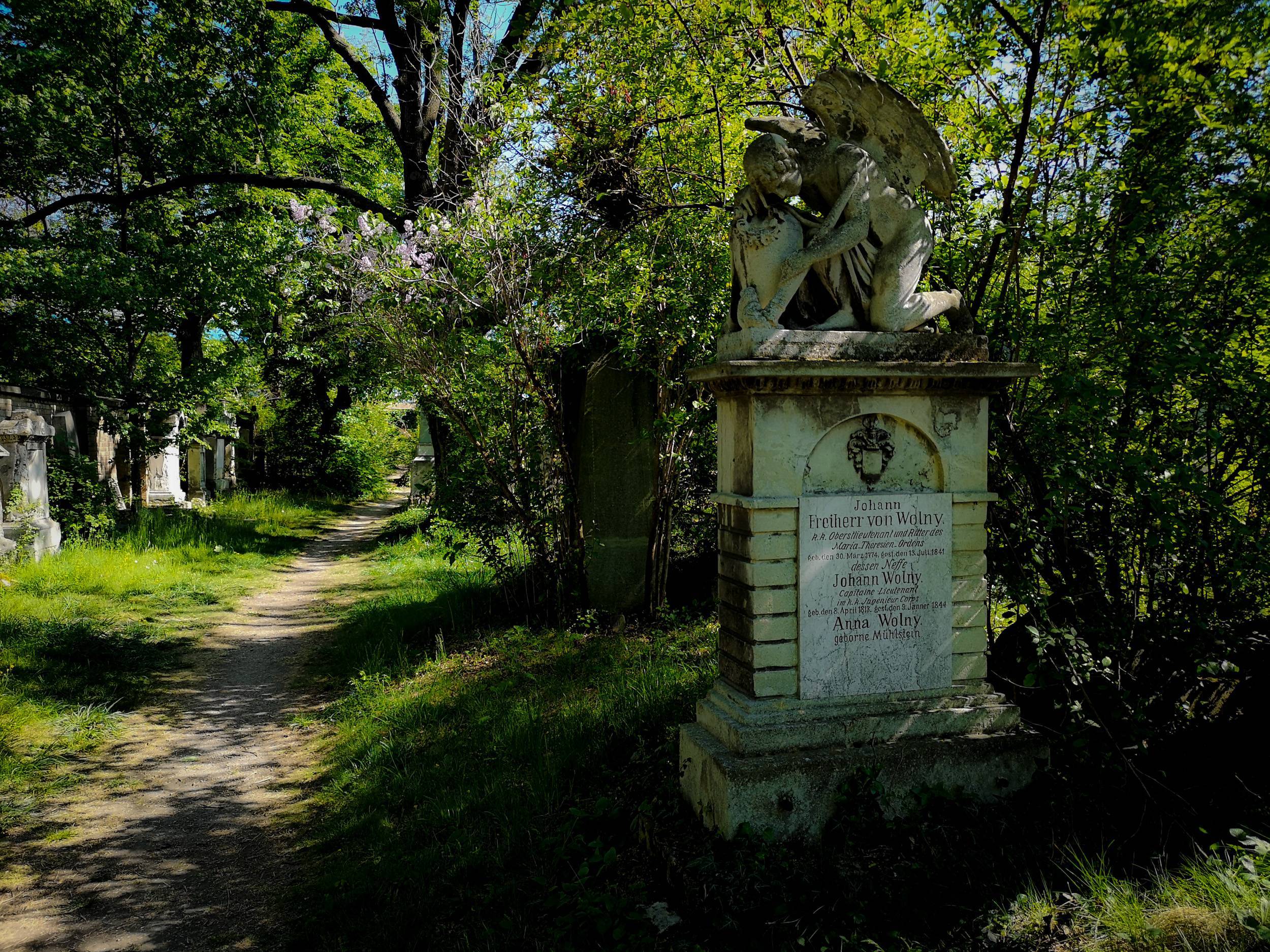 Overgrown grave in St Marx Cemetery, Vienna