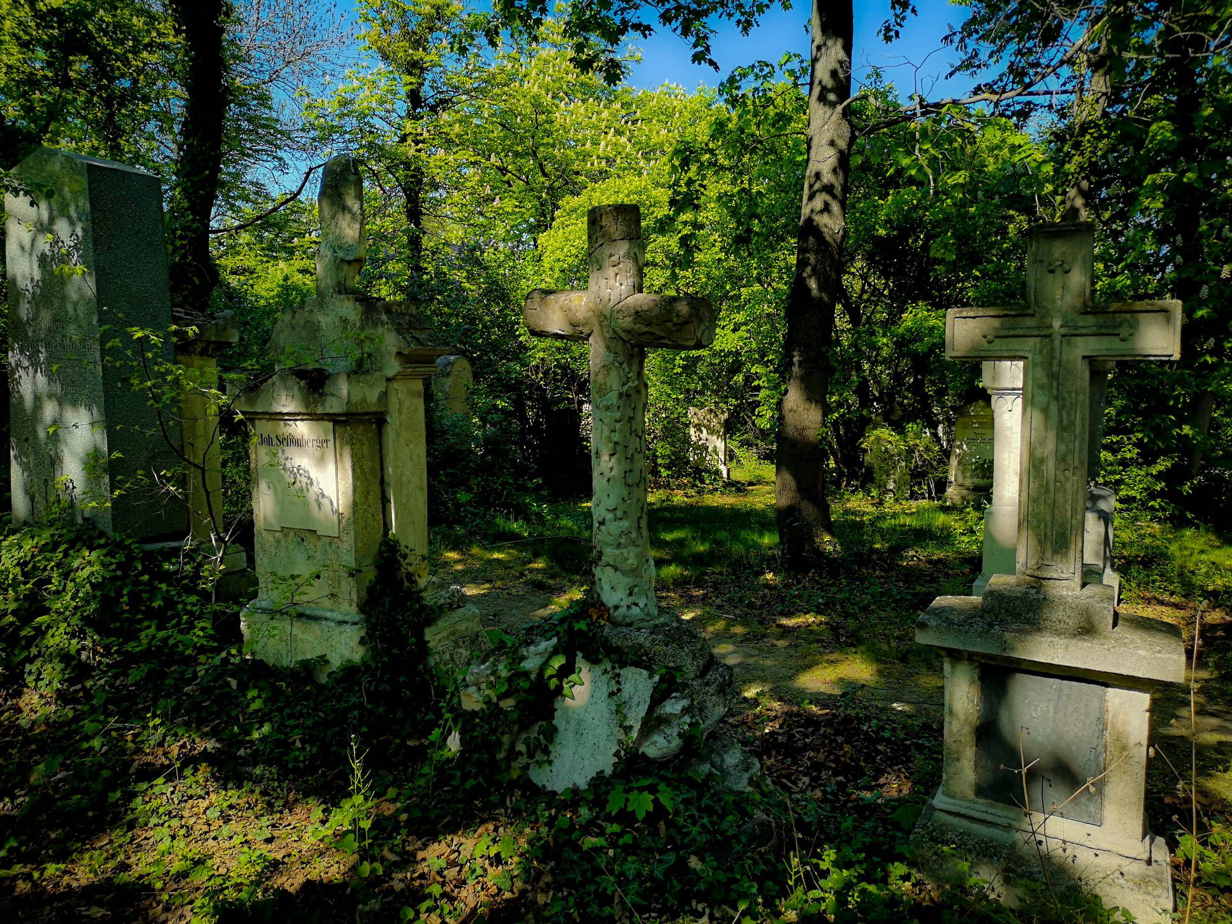 Overgrown graves in St Marx Cemetery, Vienna
