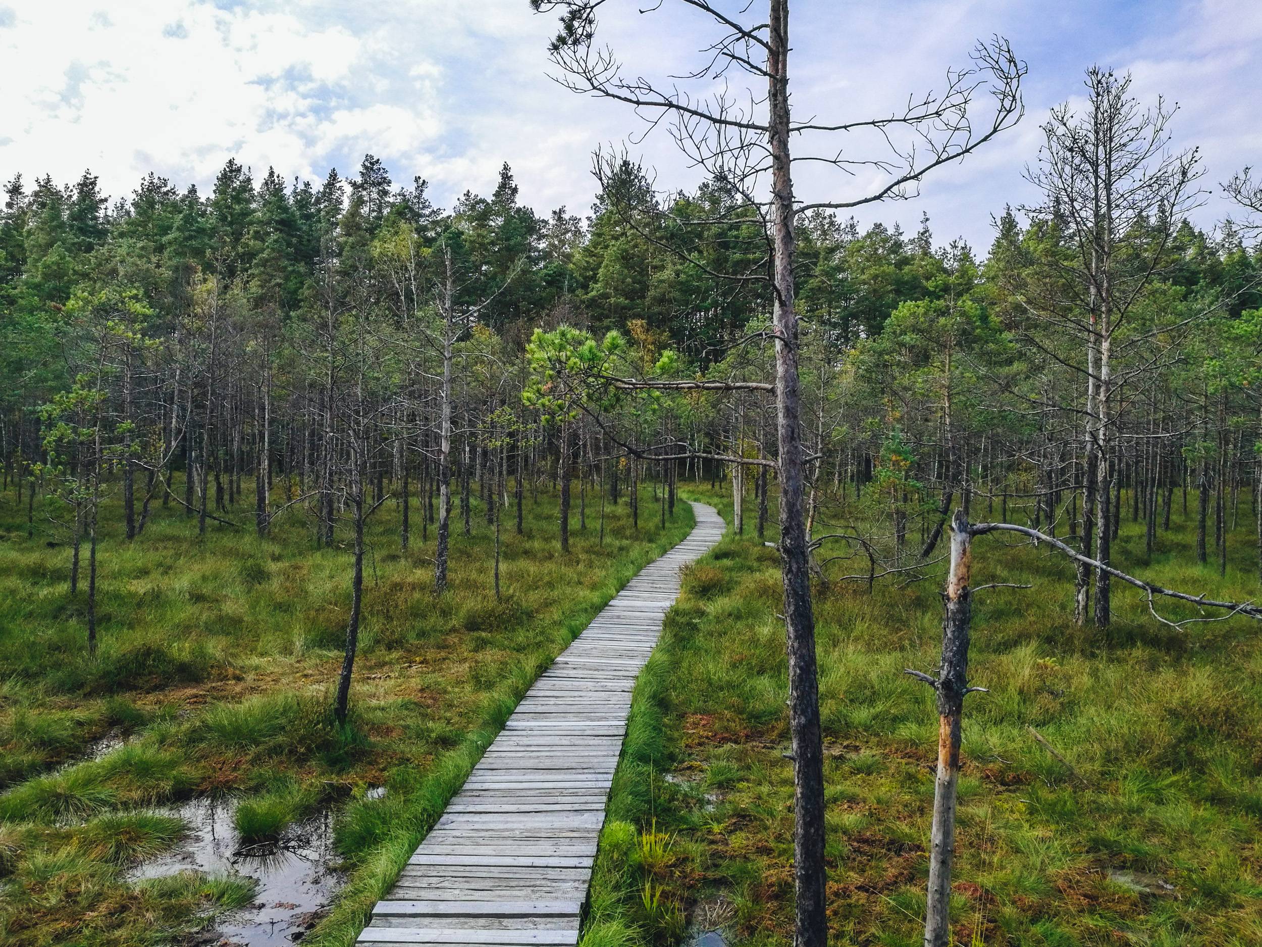 Čepkeliai Educational Path, Lithuania