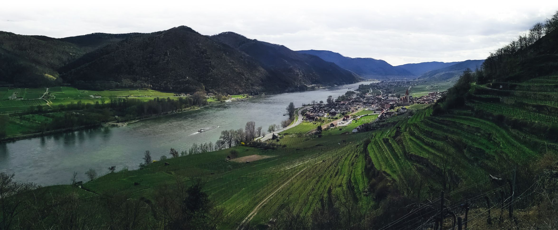 Vineyards of Wachau and Weissenkirchen in Austria