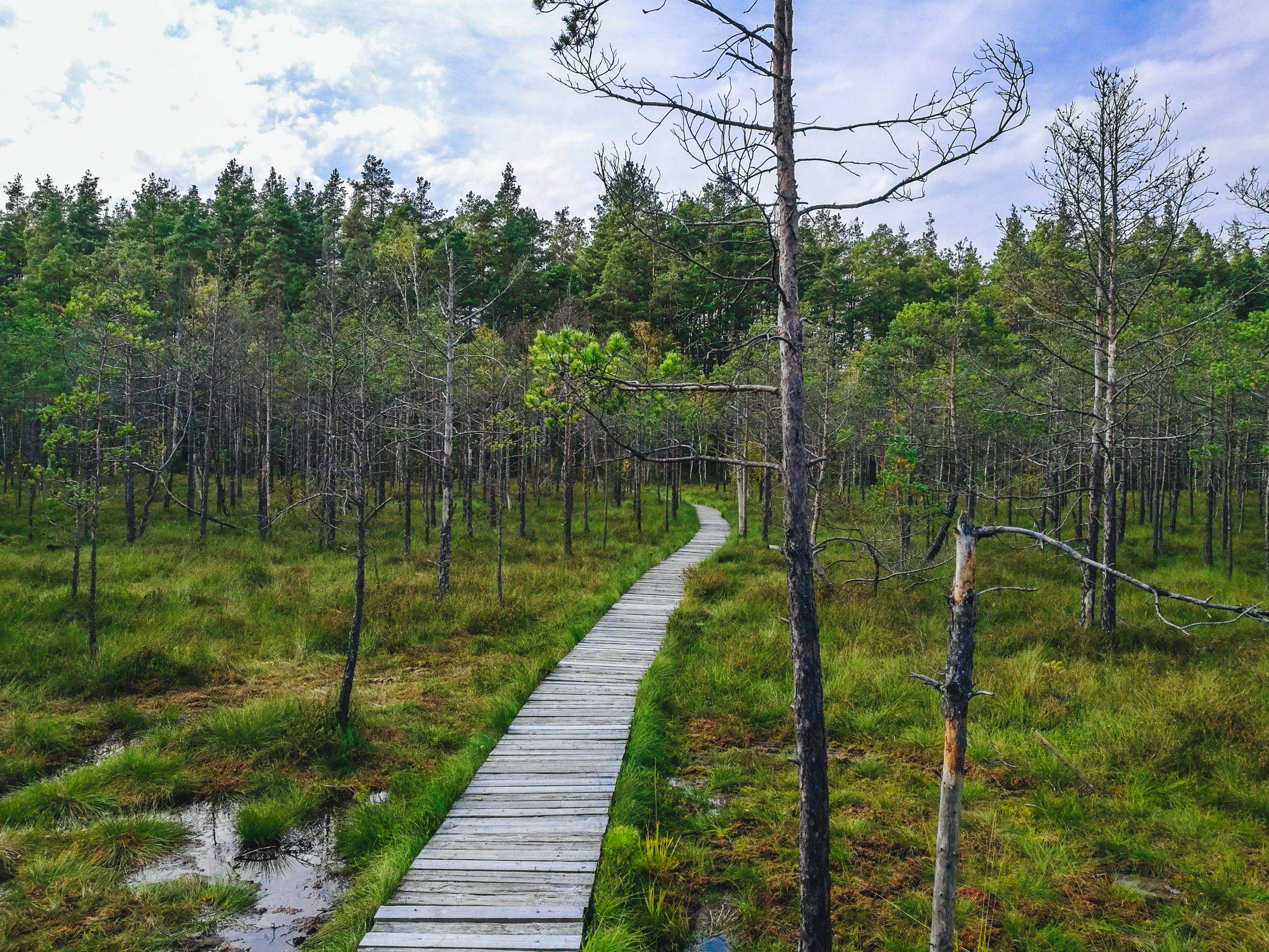 Čepkeliai Educational Path, Lithuania