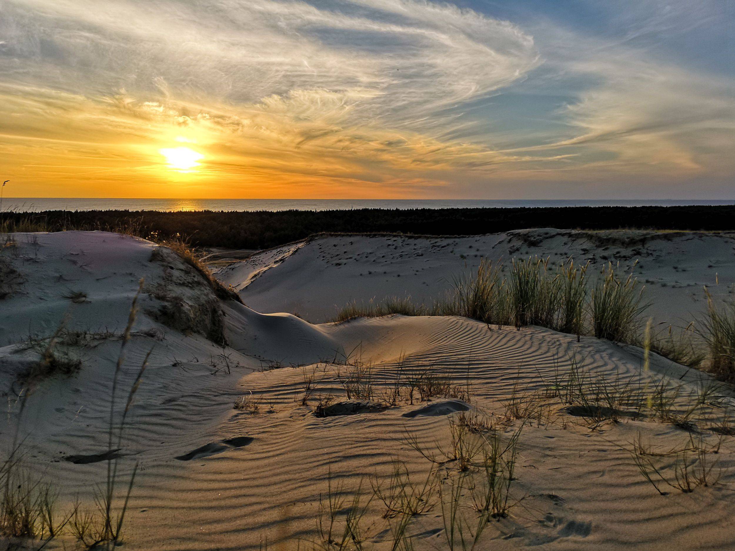 Dead dunes in Pervalka, Neringa